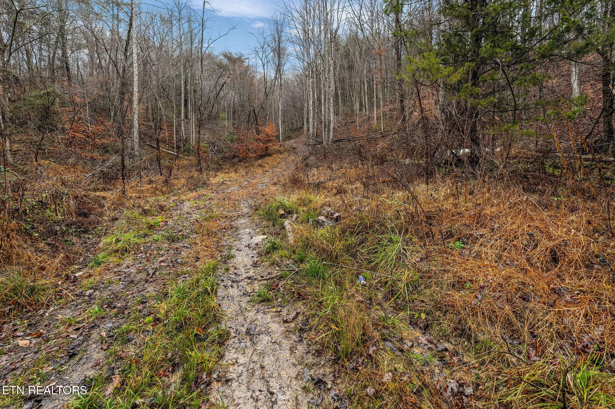 DSC02099 - 7300 Snake Hollow Rd, Sneedville, TN 37869