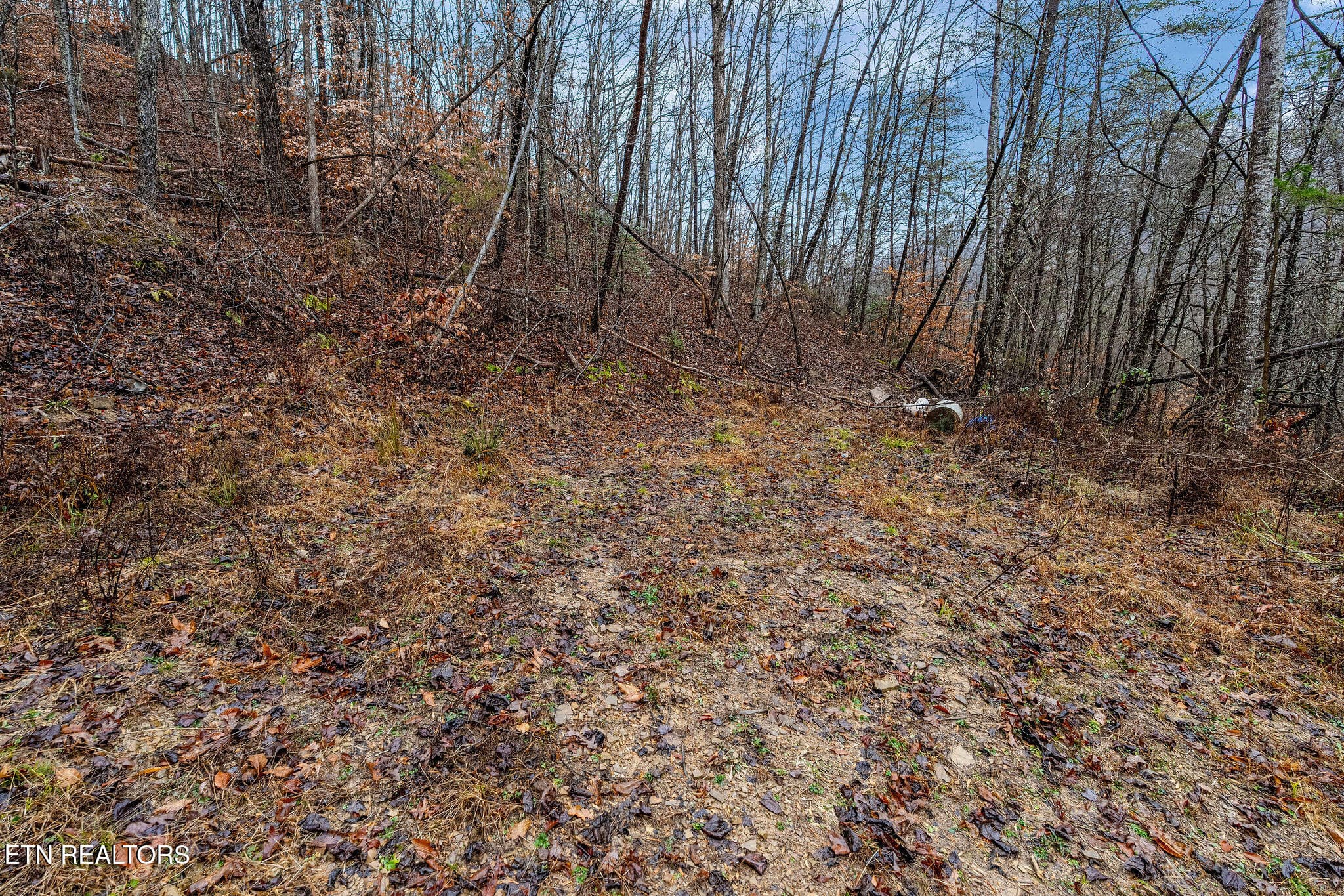 DSC02100 - 7300 Snake Hollow Rd, Sneedville, TN 37869