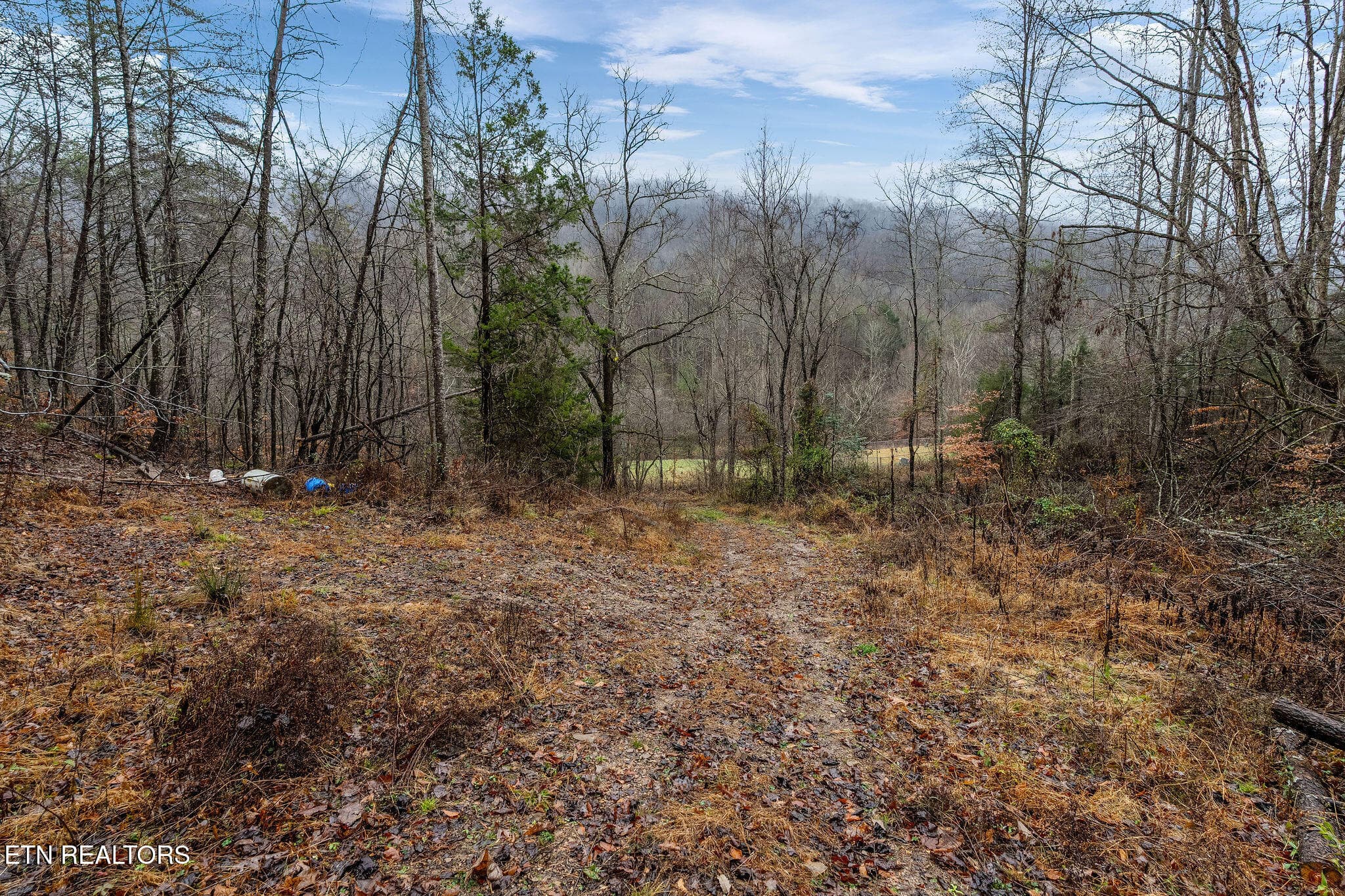 DSC02101 - 7300 Snake Hollow Rd, Sneedville, TN 37869