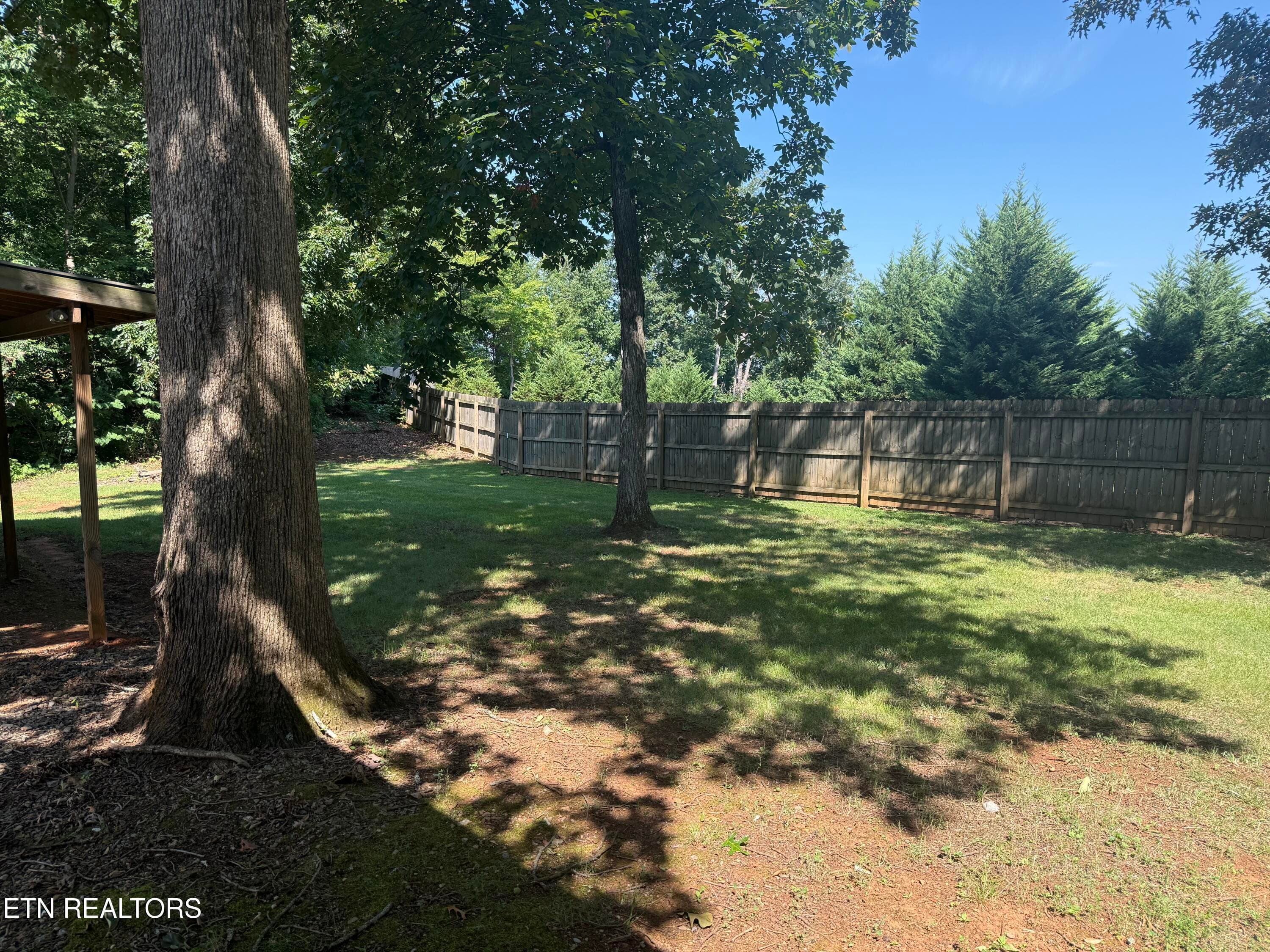 Shaded Back Yard - 135 Central Ave, Benton, TN 37307, Benton