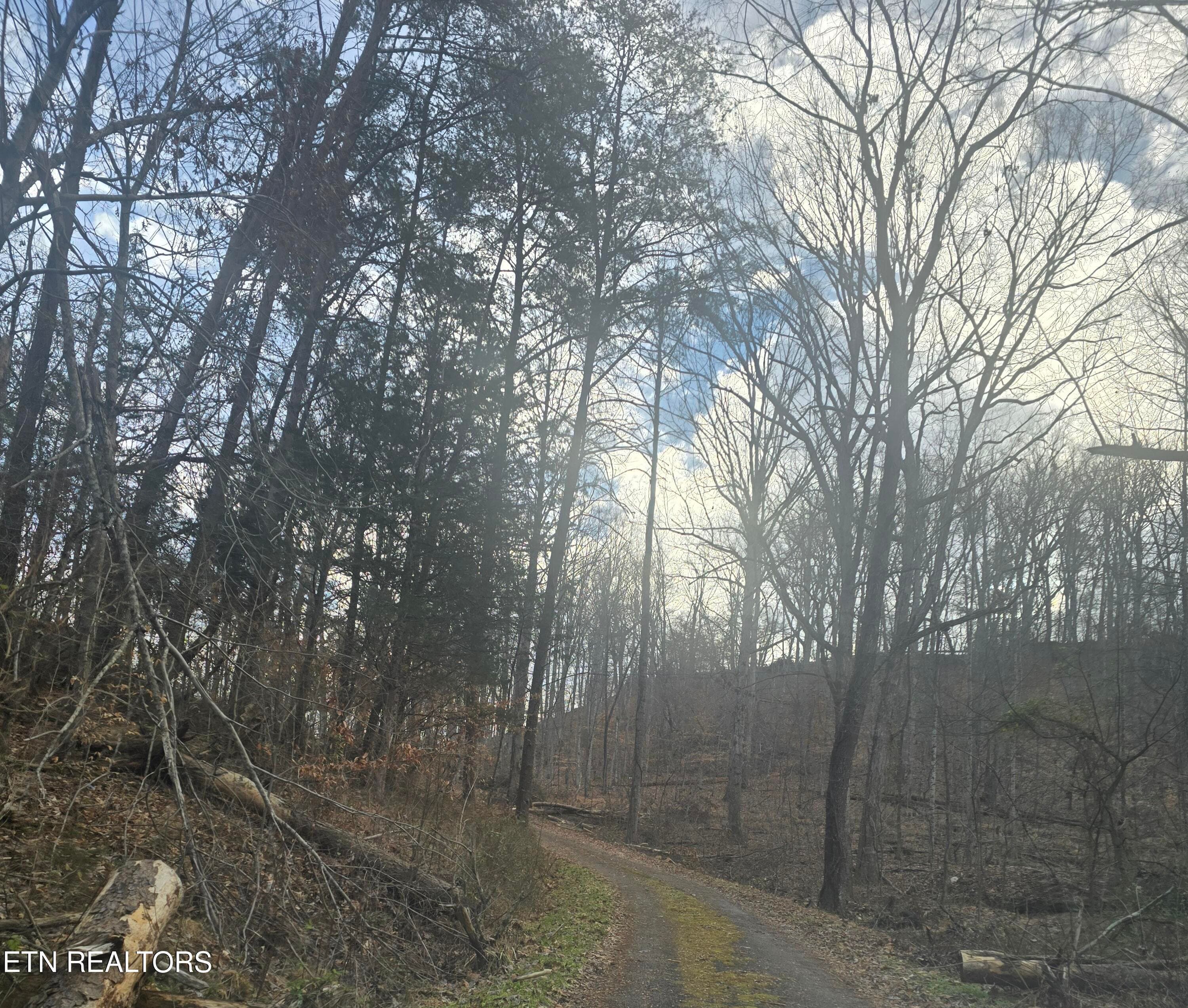 20260123_095841 - 120 Johnson Rd, Mooresburg, TN 37811