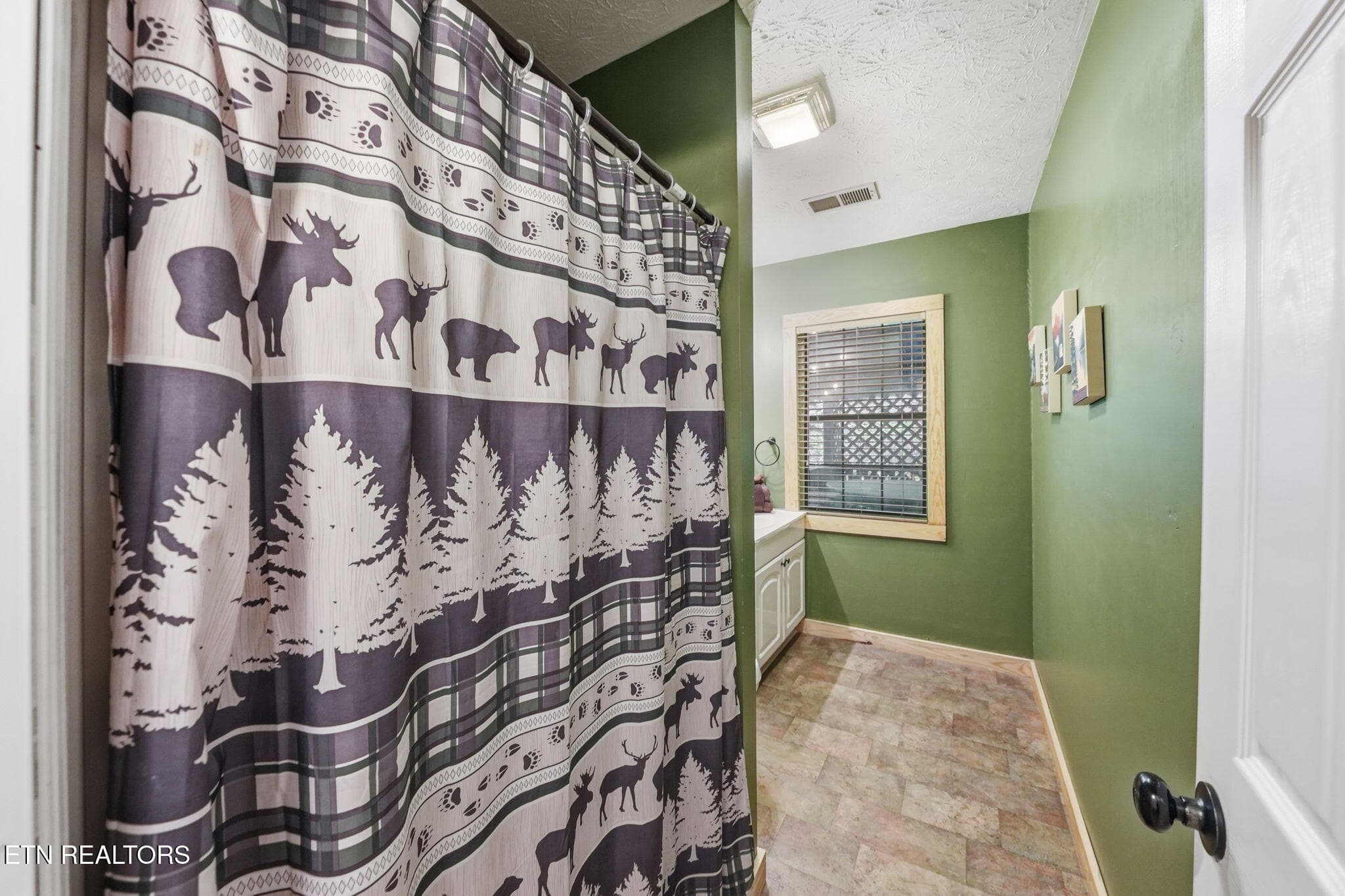 47-web-or-mls-046_DSC02524 - 2202 Applewood Rd, Sevierville, TN 37862, Sevierville