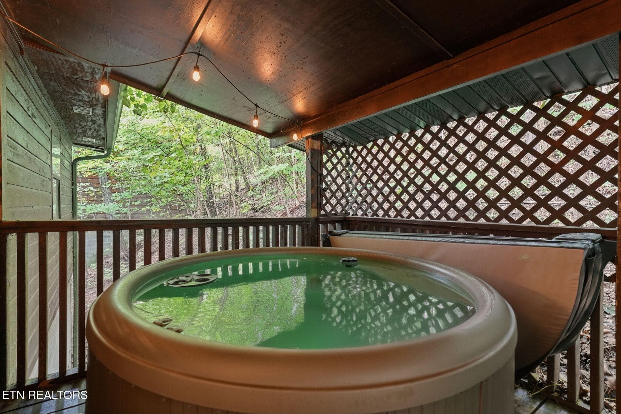 52-web-or-mls-051_DSC02546 - 2202 Applewood Rd, Sevierville, TN 37862, Sevierville