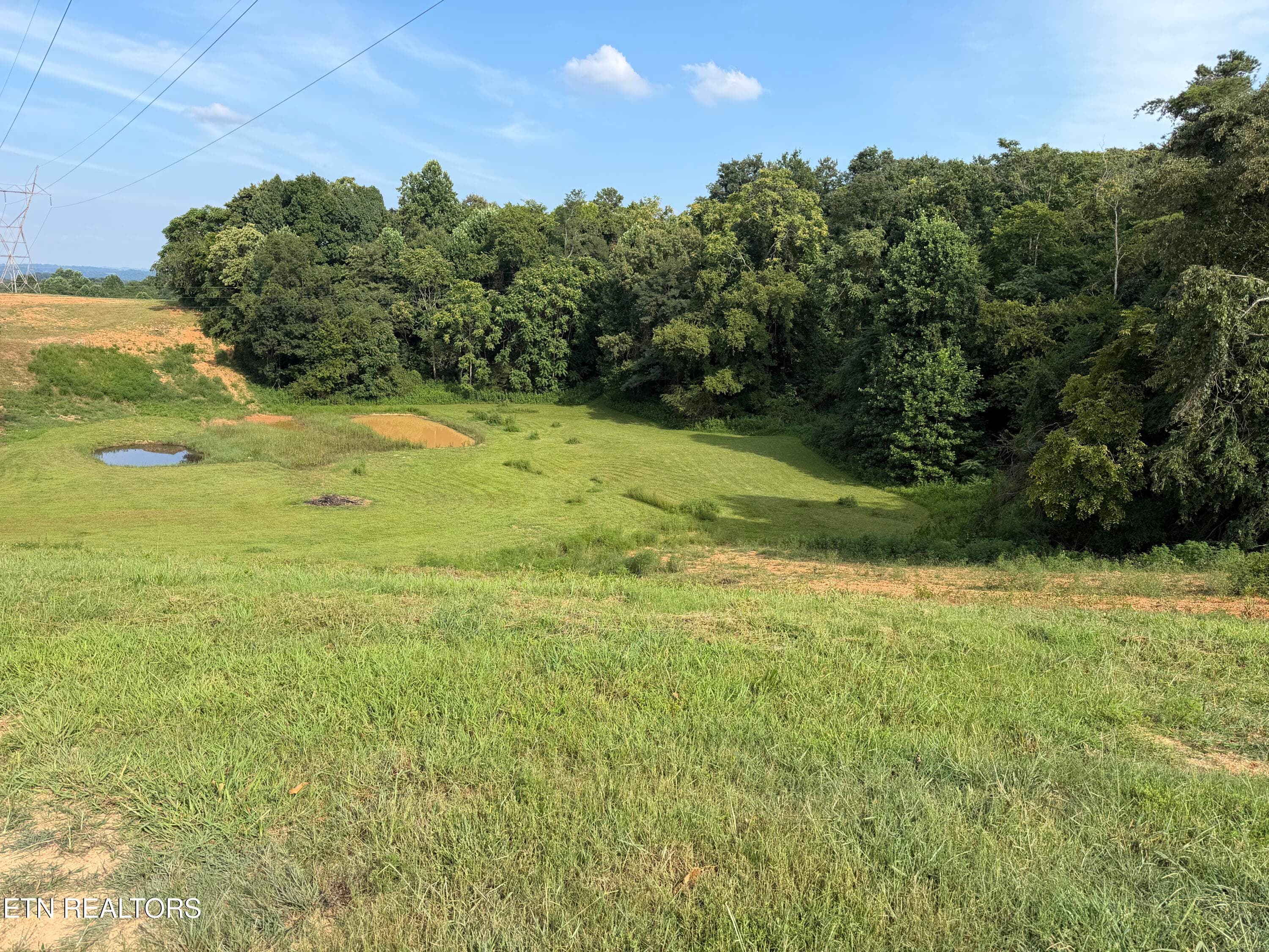 IMG_3152 - 2490 Whittle Rd, New Market, TN 37820