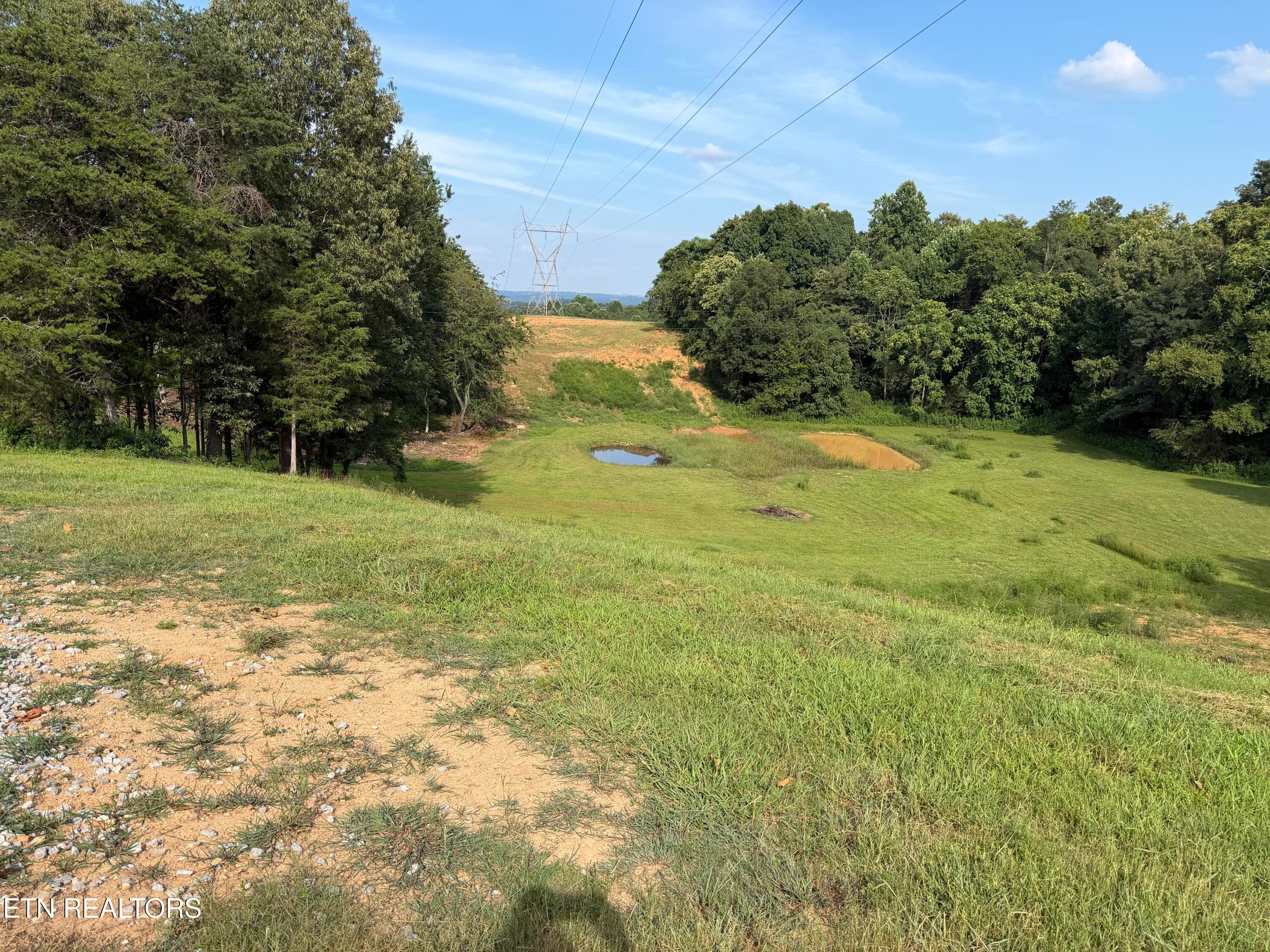 IMG_3153 - 2490 Whittle Rd, New Market, TN 37820