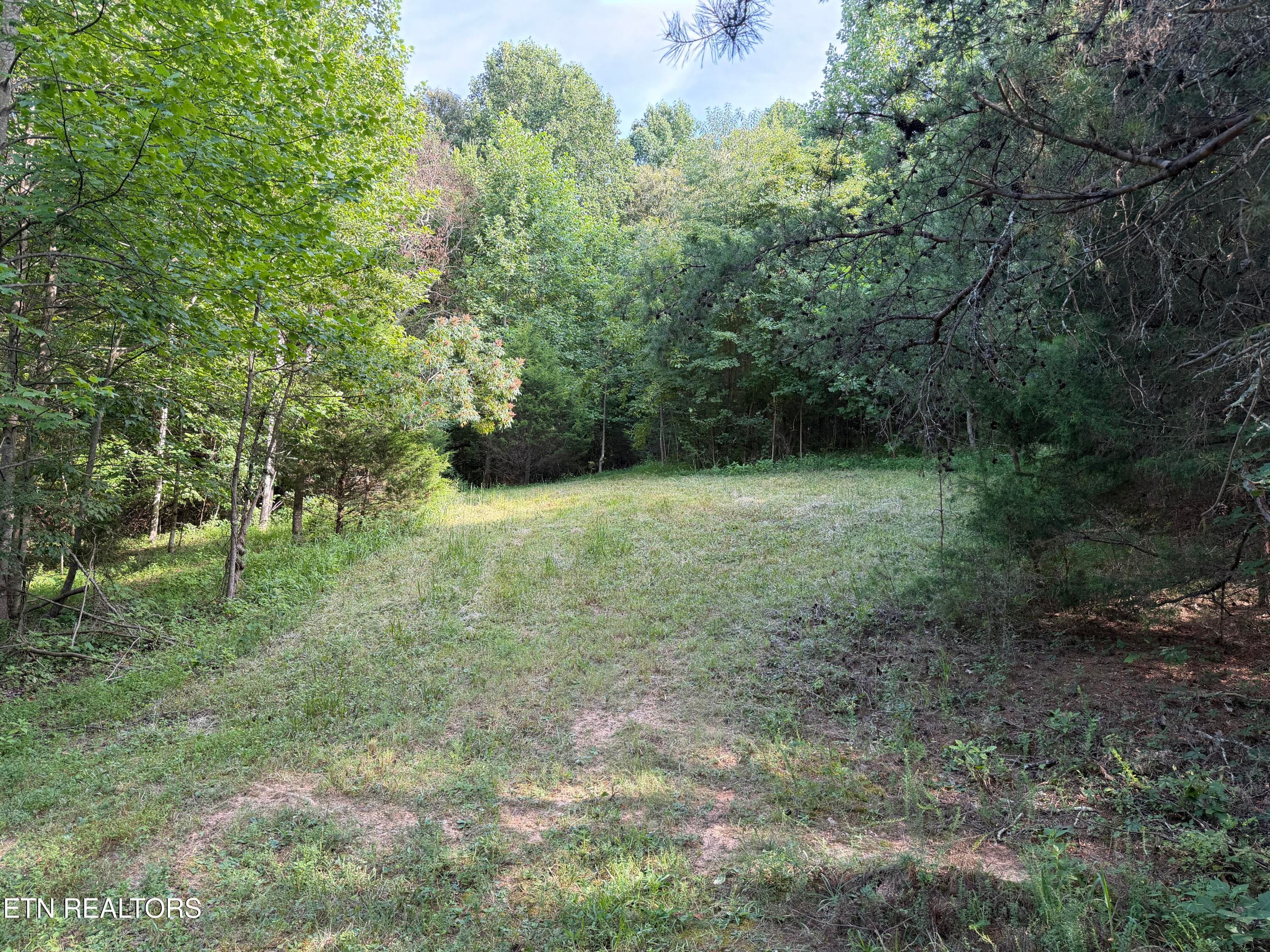 IMG_3170 - 2490 Whittle Rd, New Market, TN 37820