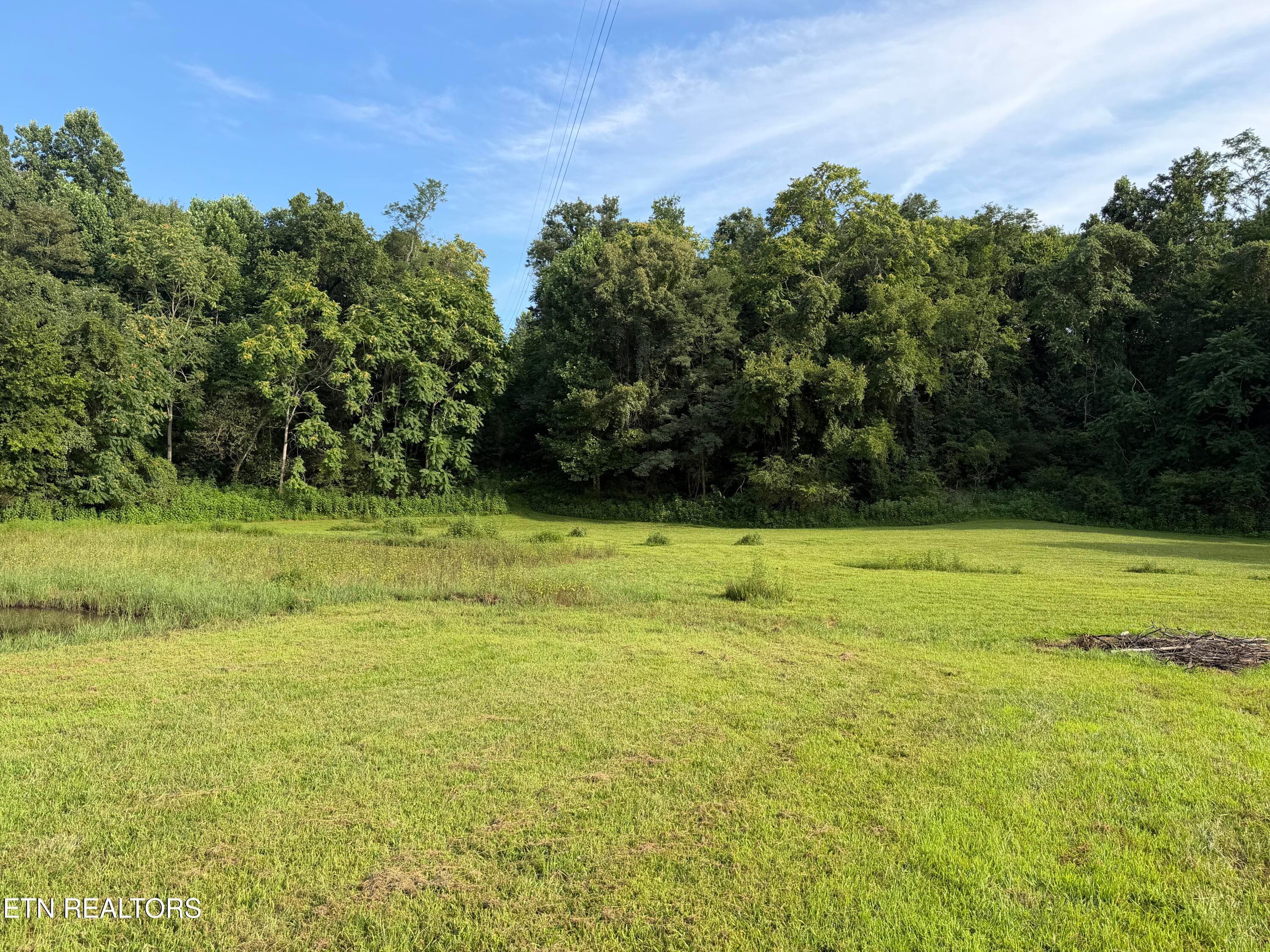IMG_3177 - 2490 Whittle Rd, New Market, TN 37820