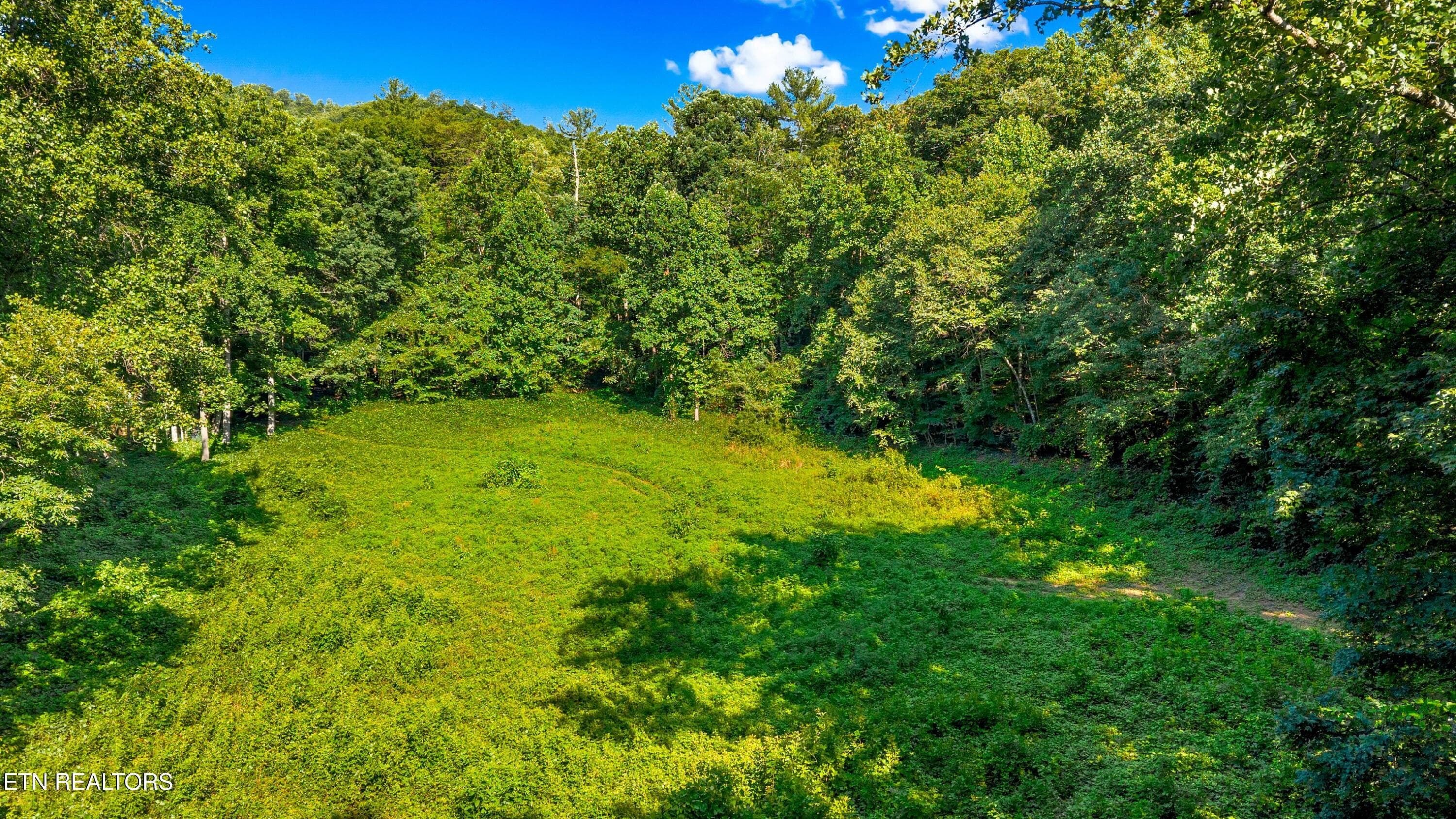 009-1549HallsTopRd-Newport-TN-37821-SMAL - 15 Acres Halls Top Rd, Newport, TN 37821