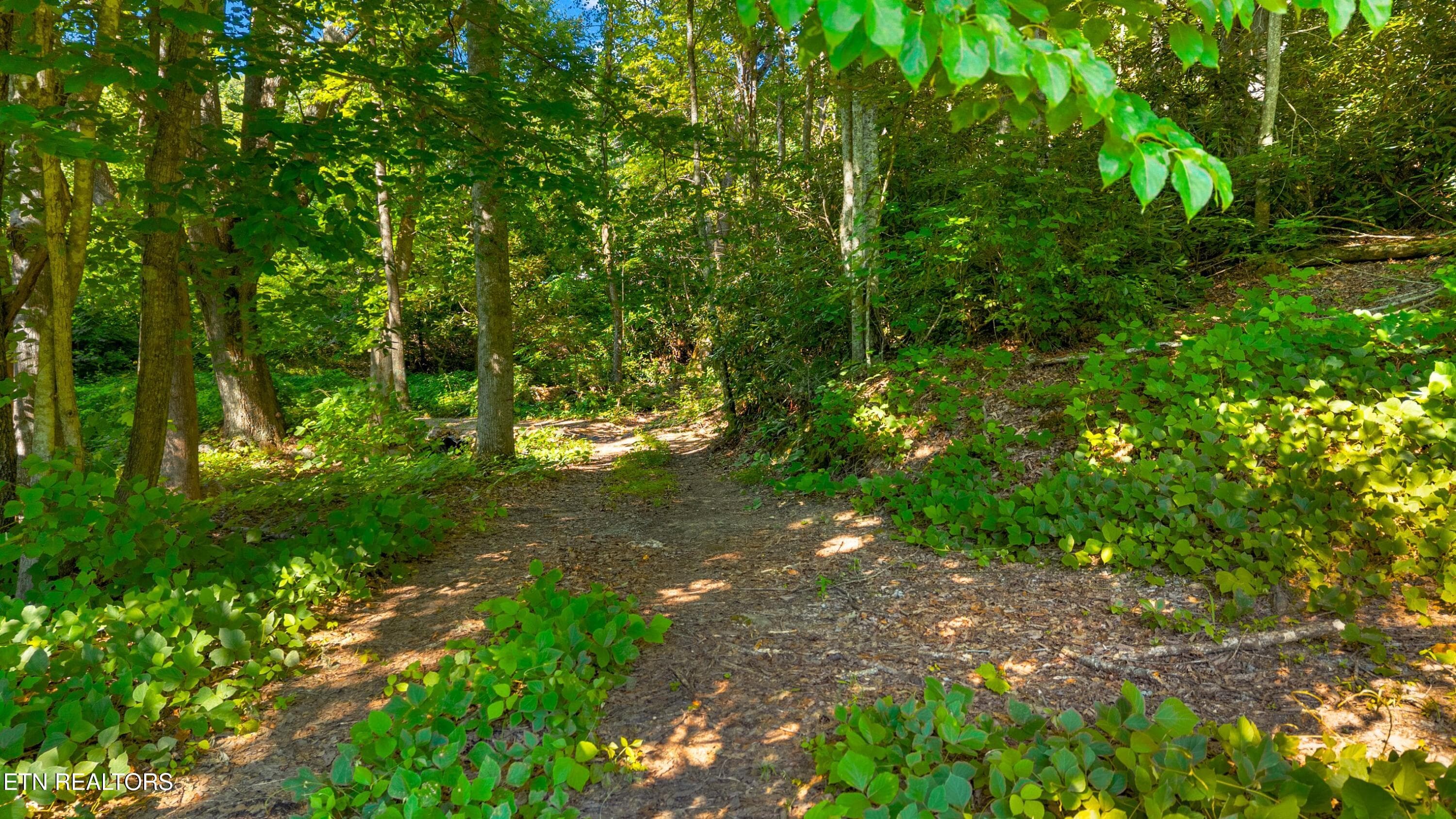 010-1549HallsTopRd-Newport-TN-37821-SMAL - 15 Acres Halls Top Rd, Newport, TN 37821