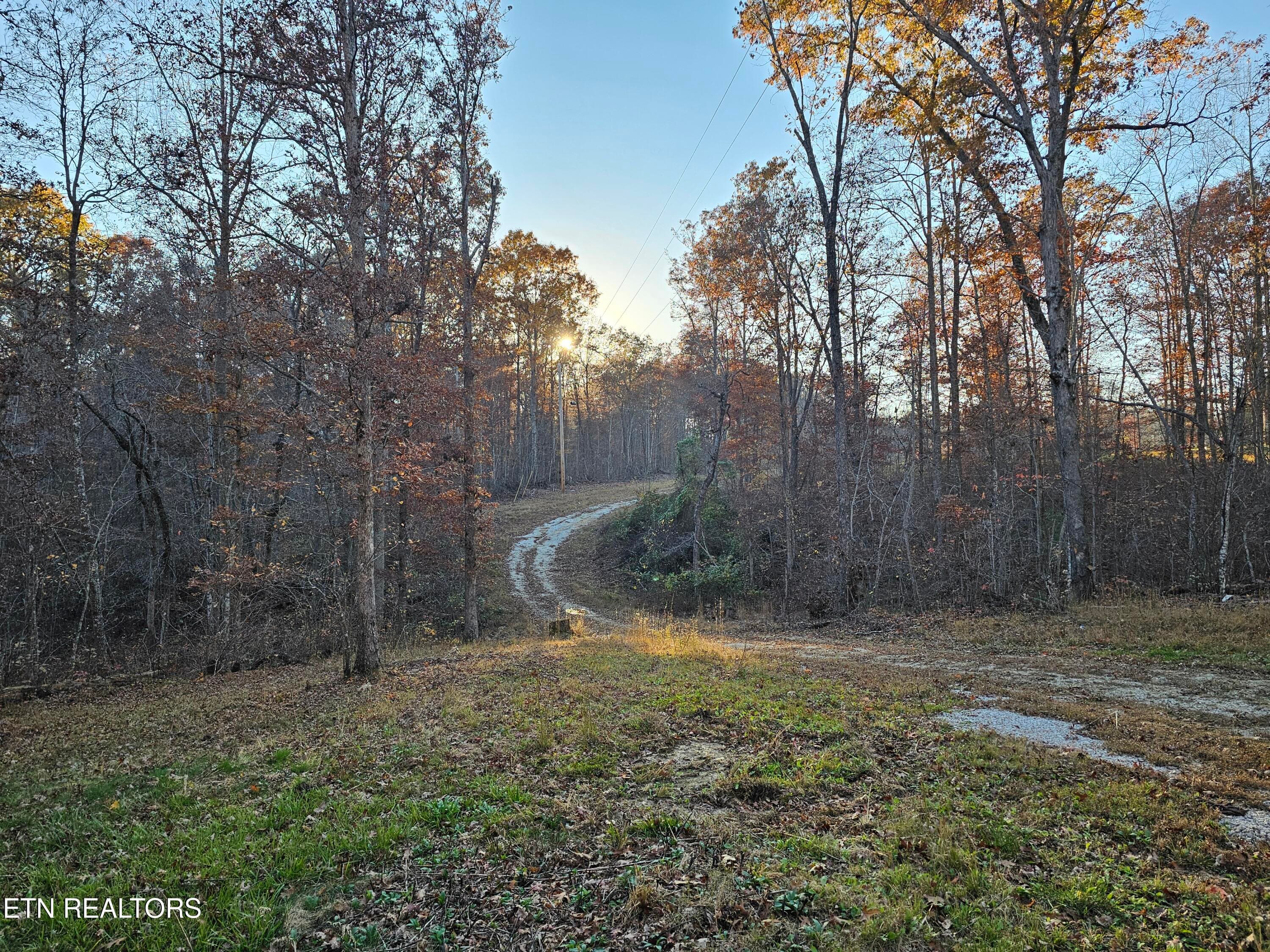 20251106_164133 - 196 Red Hill Rd, Sunbright, TN 37872, Sunbright