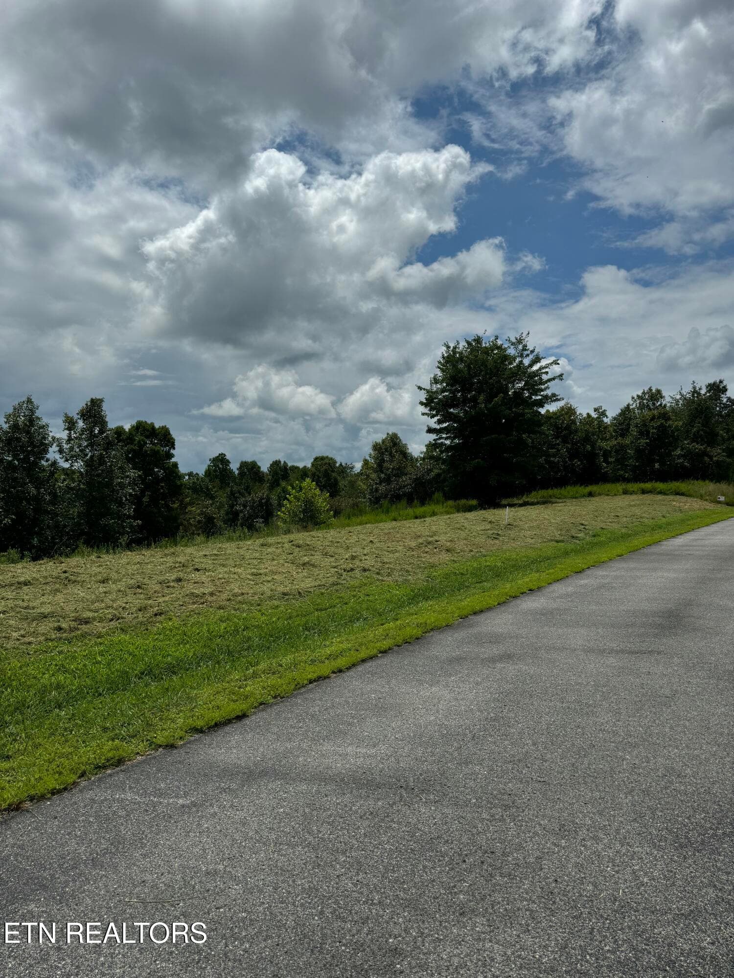 IMG_9062 - 126 Emerald Pointe Circle, Rockwood, TN 37854, Rockwood