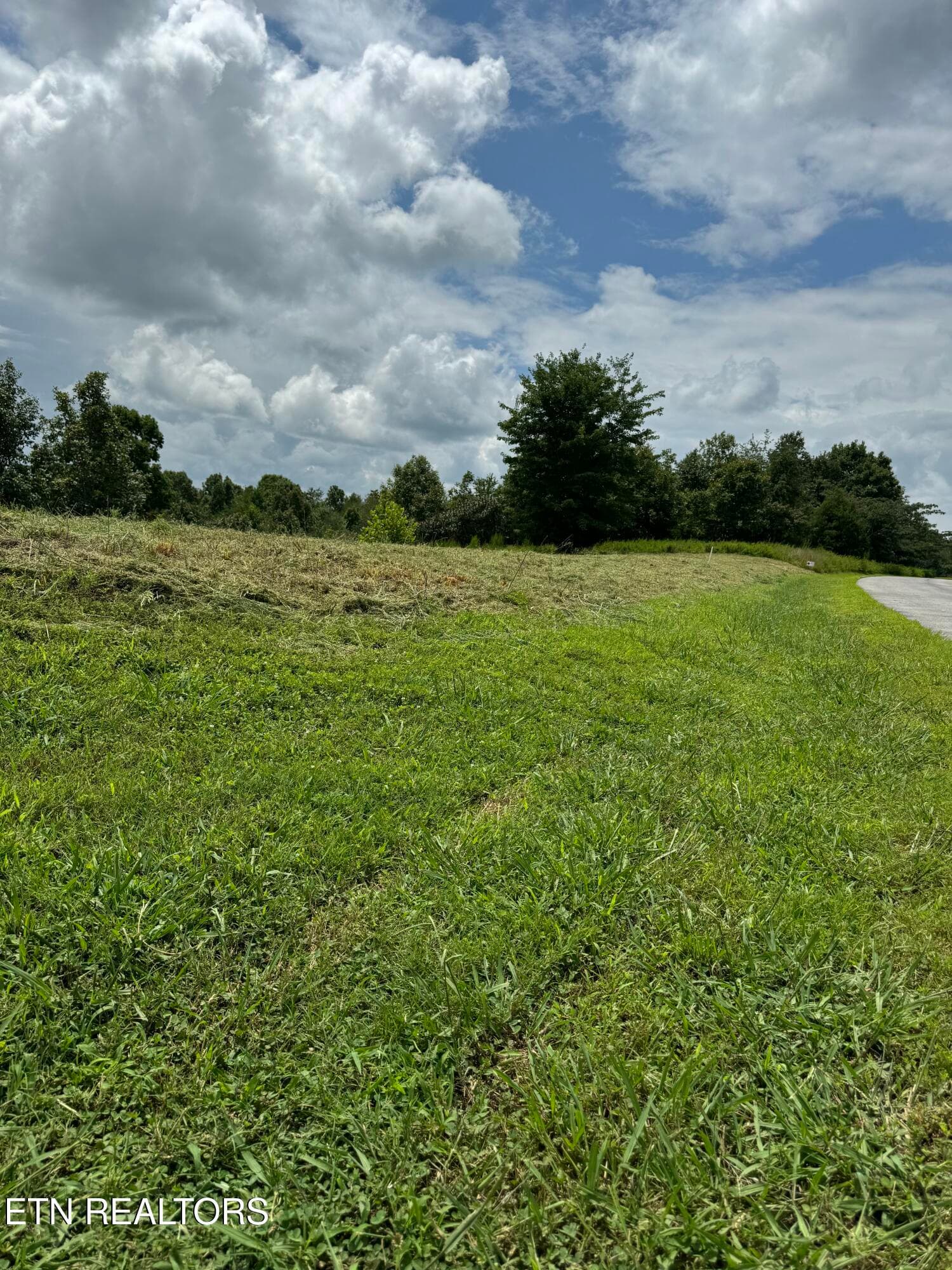 IMG_9066 - 126 Emerald Pointe Circle, Rockwood, TN 37854, Rockwood