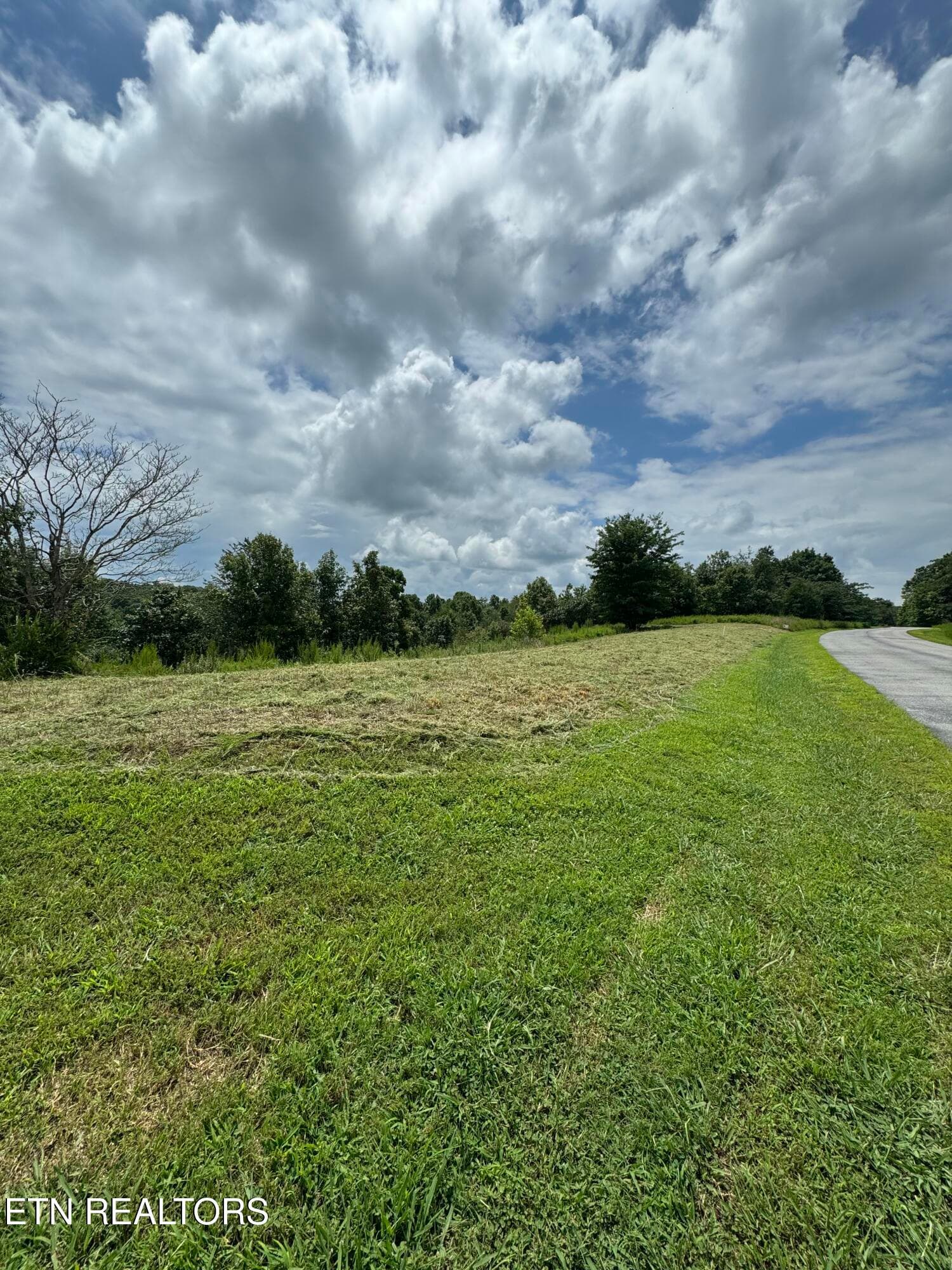 IMG_9067 (1) - 126 Emerald Pointe Circle, Rockwood, TN 37854, Rockwood