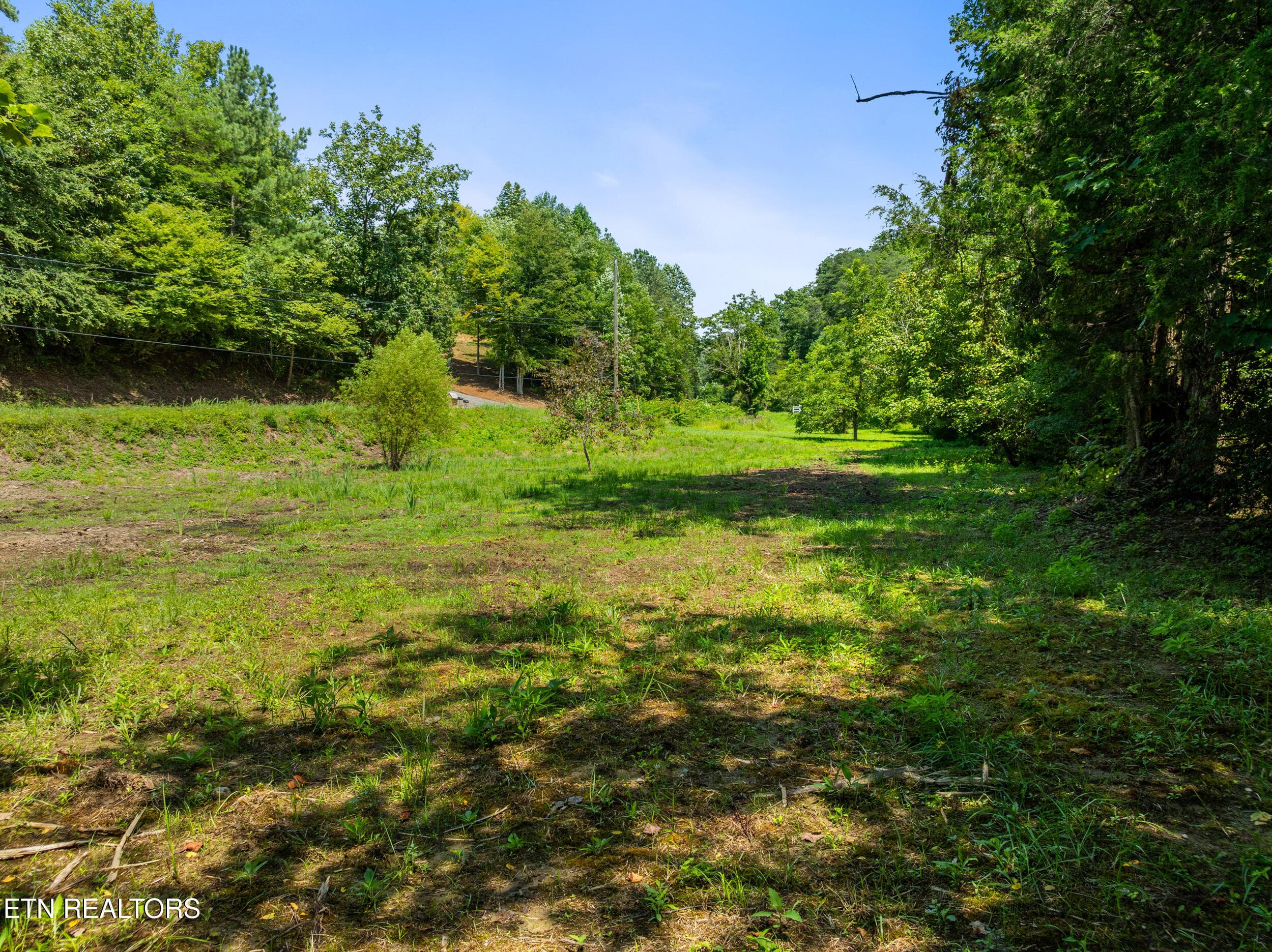 jones cove lot-8 - Jones Cove Rd, Sevierville, TN 37876