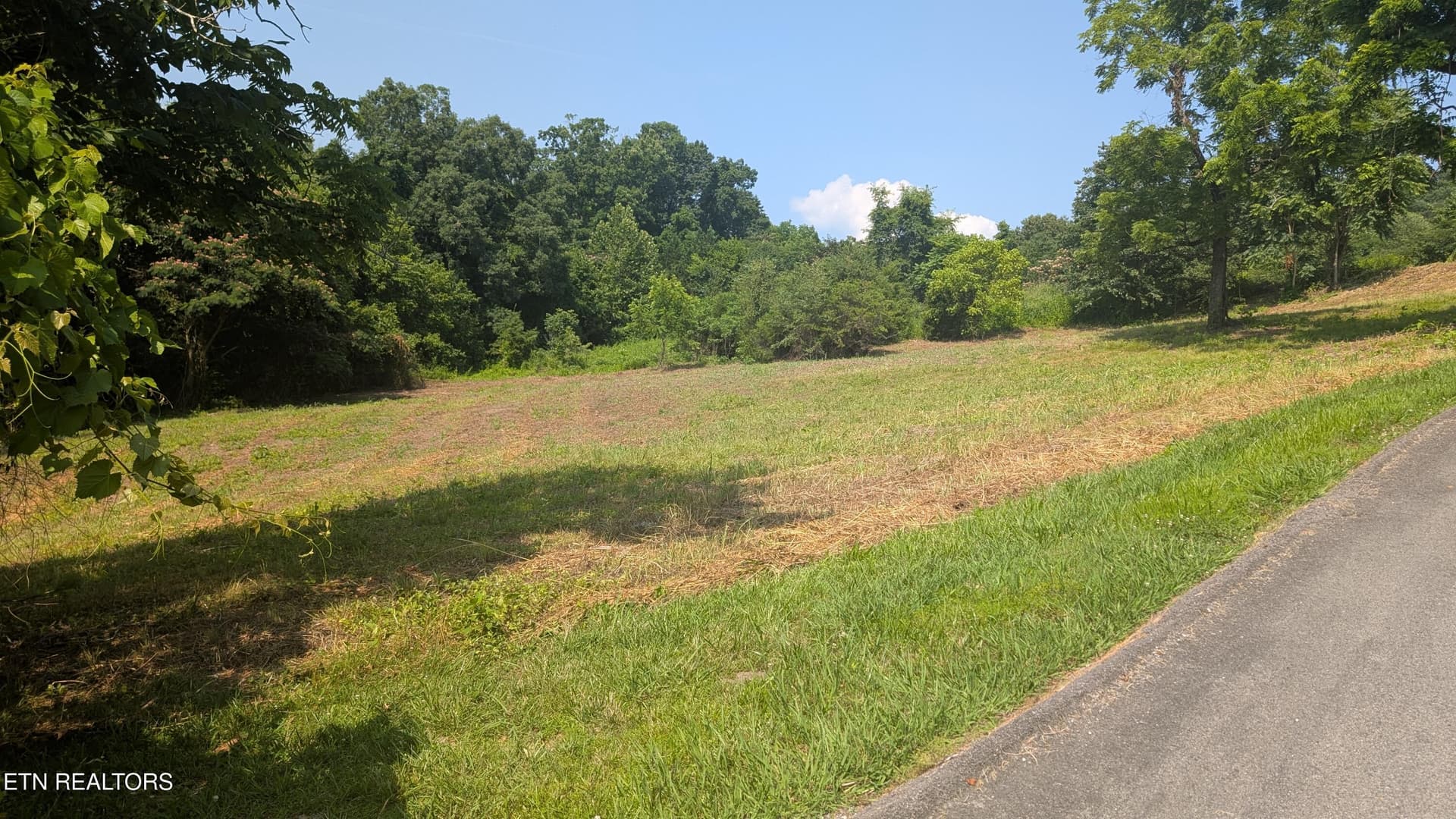 Lot 64 Whispering Court - Pic 3 - 64 Whispering Court, Bean Station, TN 37708