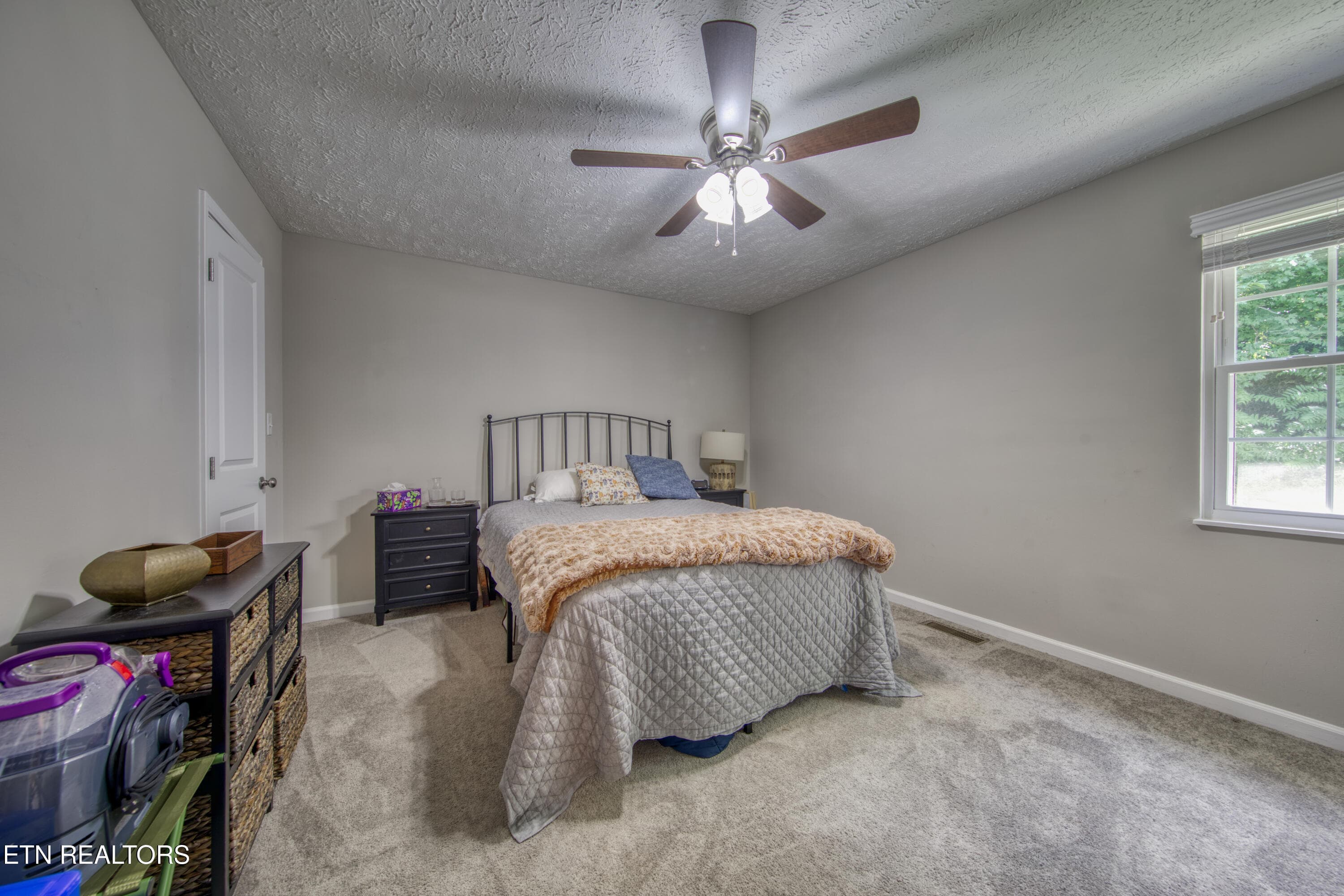 IMG_1526 - 3913 Abercorn Rd, Knoxville, TN 37921