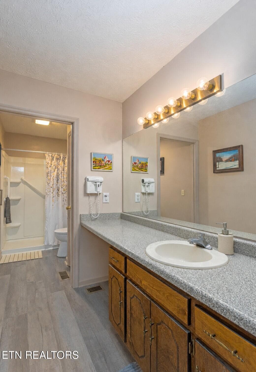 Upper level bath - 579 Dogwood Lane, Spring City, TN 37381, Spring City