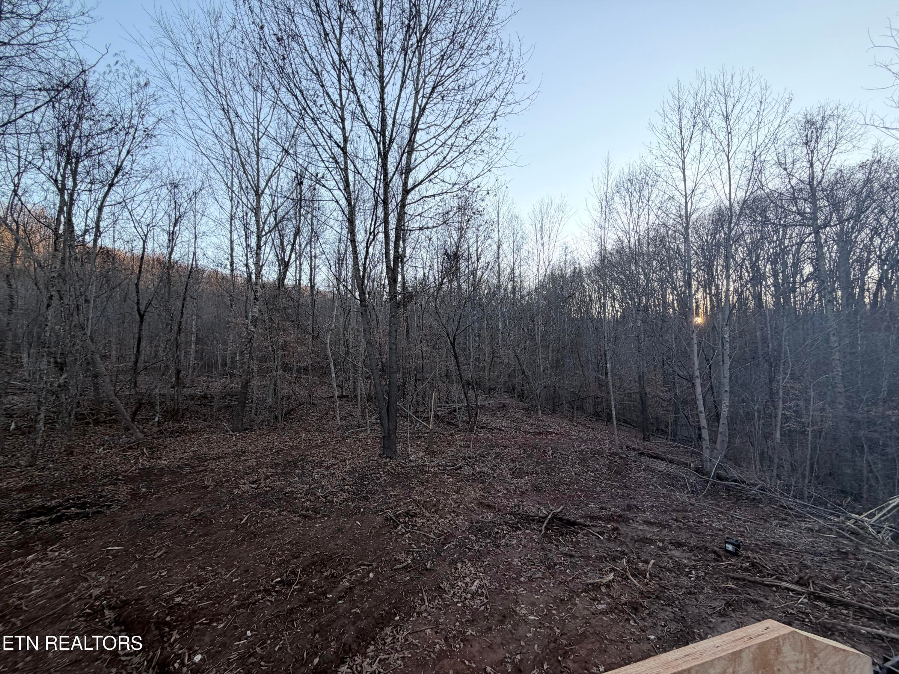03 - 228 Sands Rd, Sweetwater, TN 37874