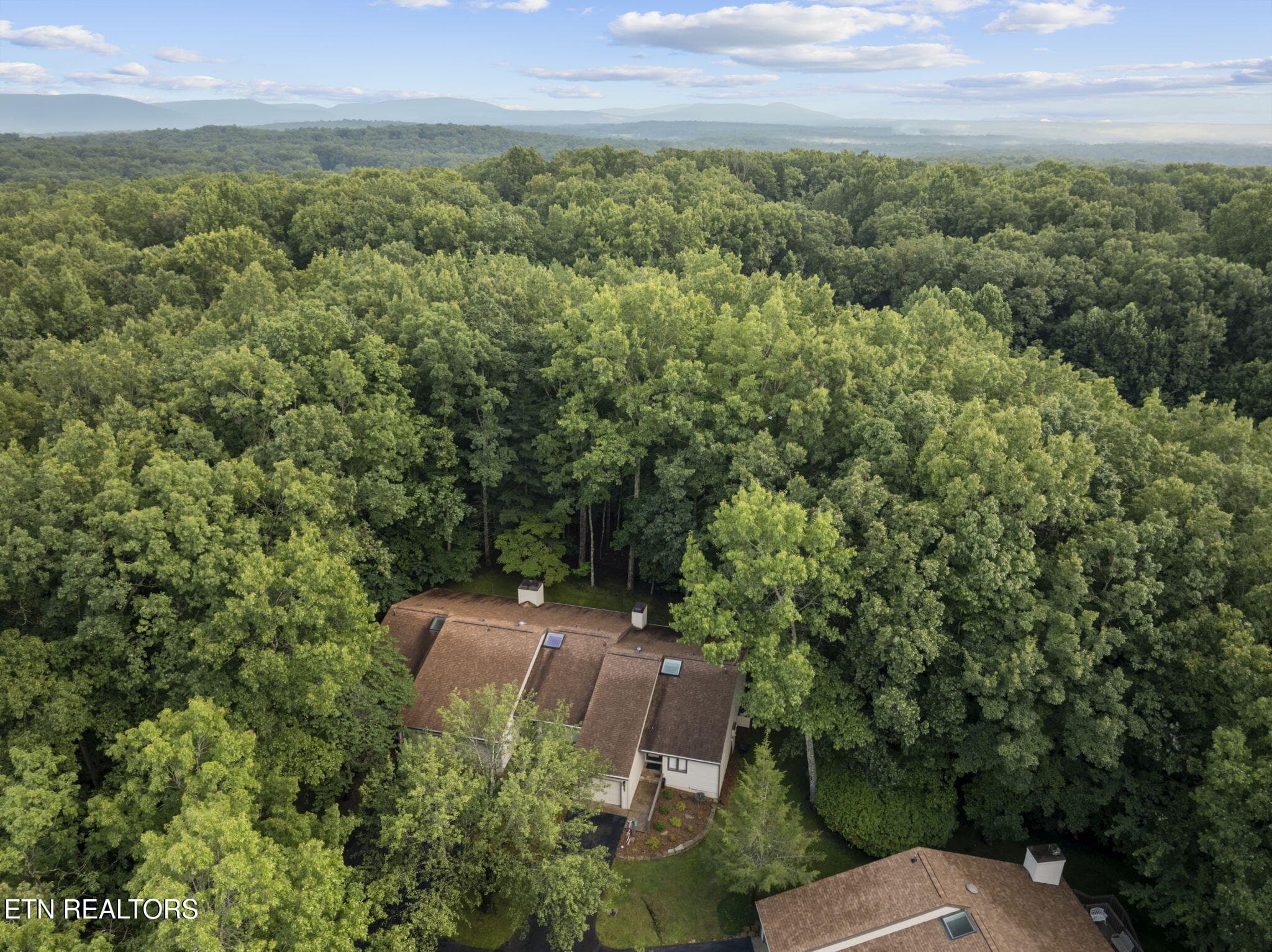 37-web-or-mls-DJI_20260806182731_0786_D - 367 Lake Catherine Circle, Crossville, TN 38558