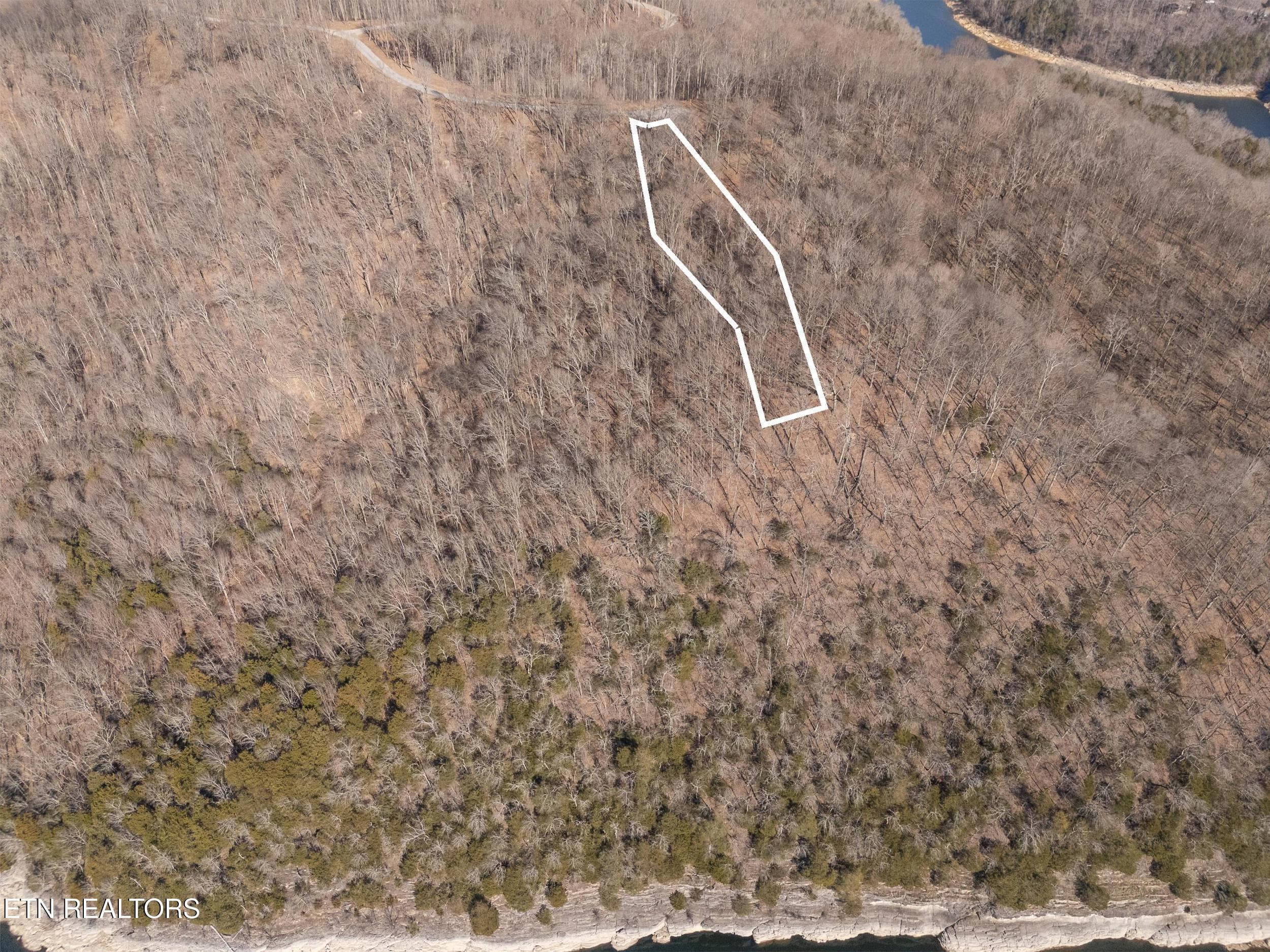 image_3_(01.29.25) - Lot 28 Back Ranch Drive, Silver Point, TN 38582