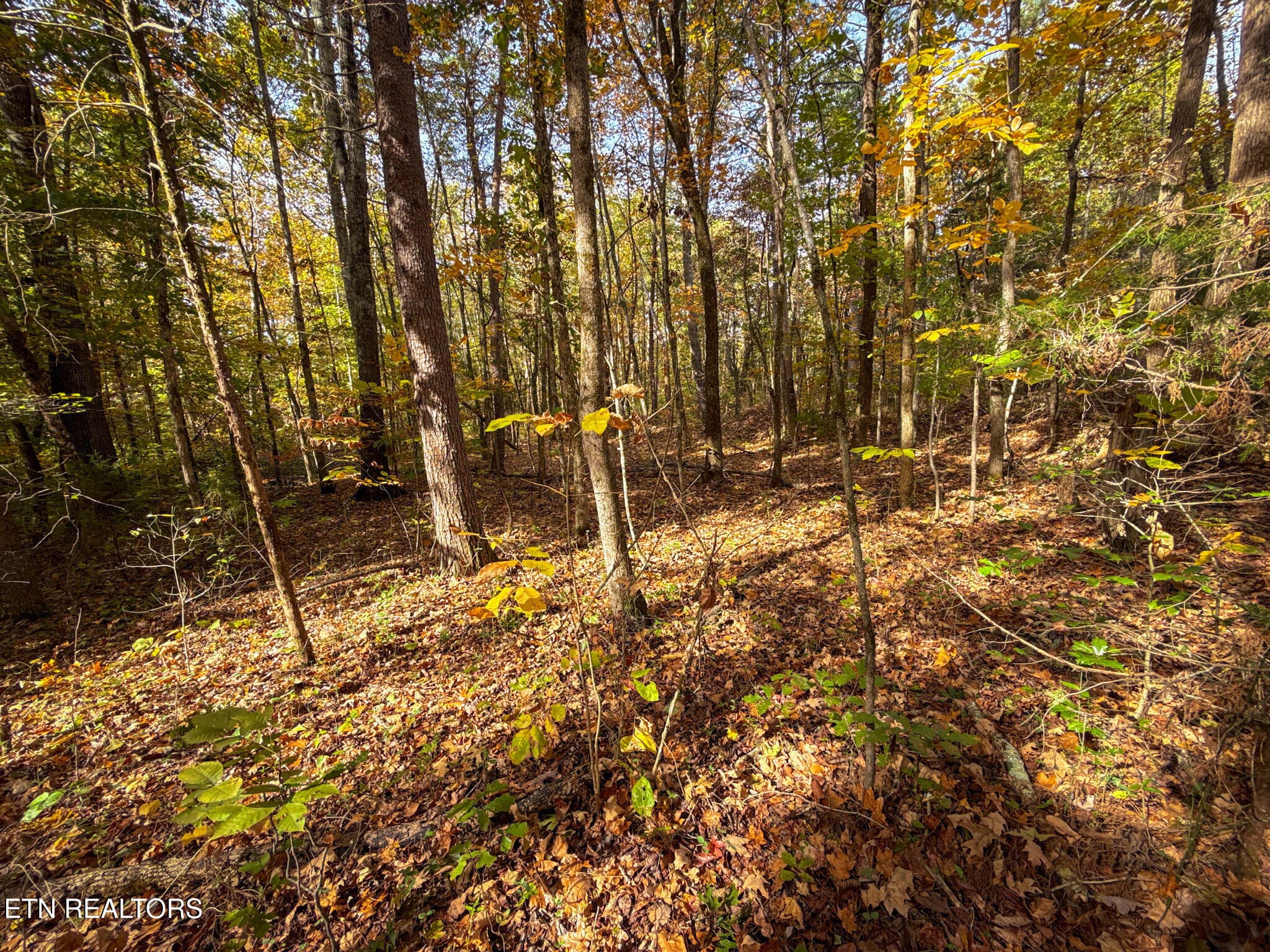 5 - Co Rd 475, Etowah, TN 37331
