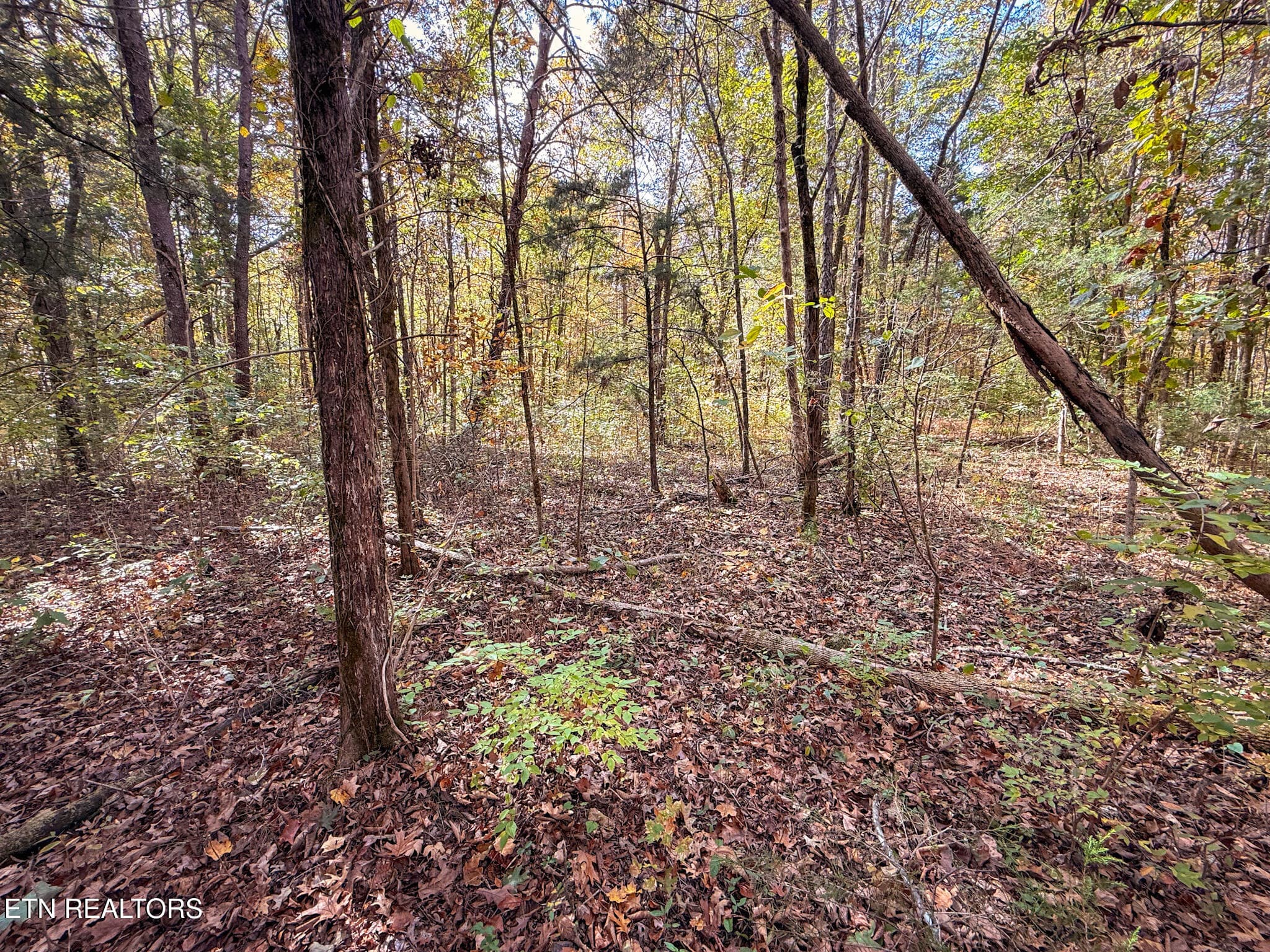 9 - Co Rd 475, Etowah, TN 37331