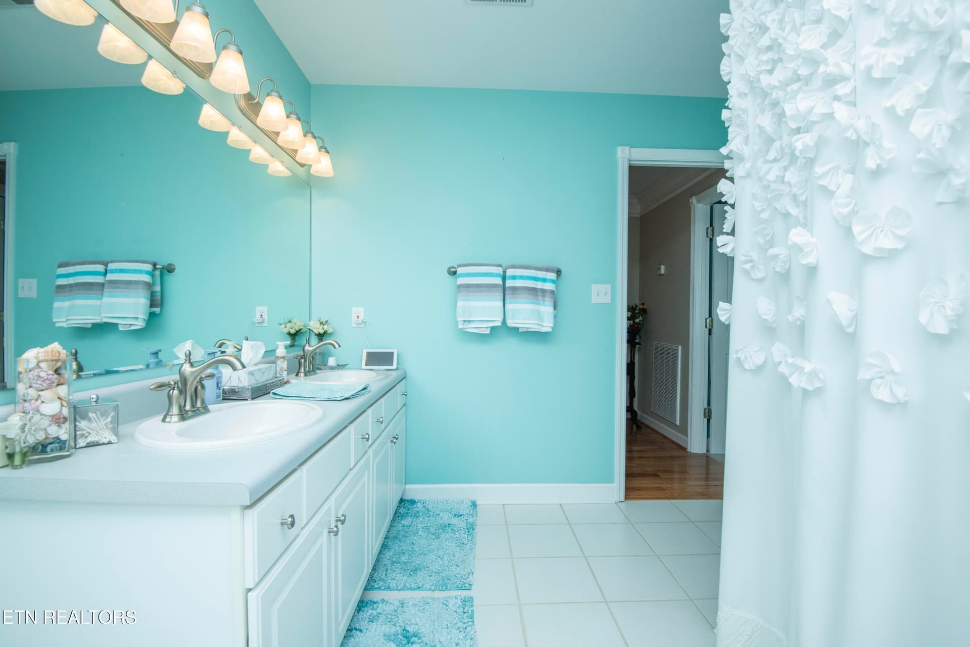 second bath 1 - 5321 Endicott Ridge Lane, Knoxville, TN 37918