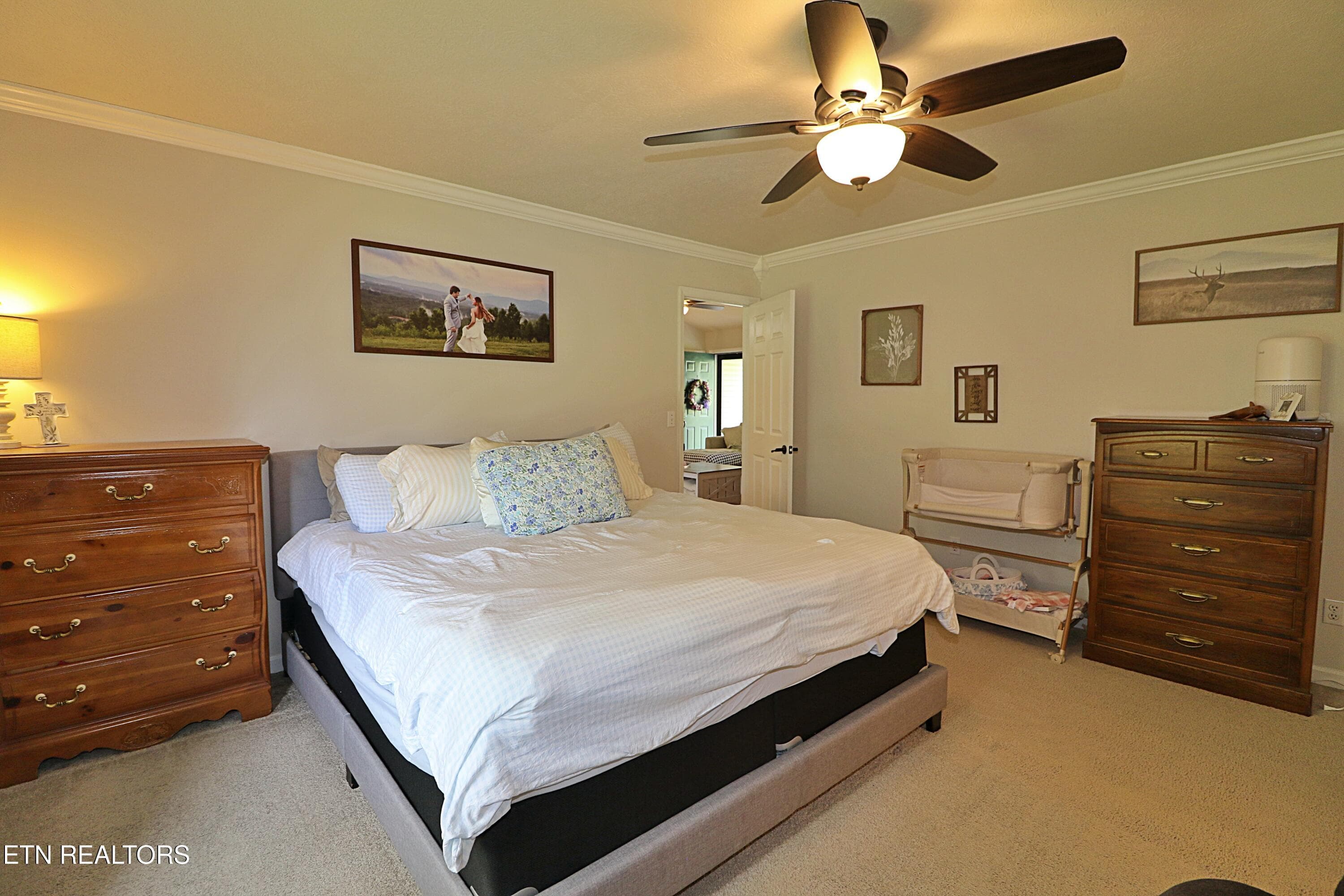 094A3981 - 192 Pecan Circle, Corryton, TN 37721, Corryton