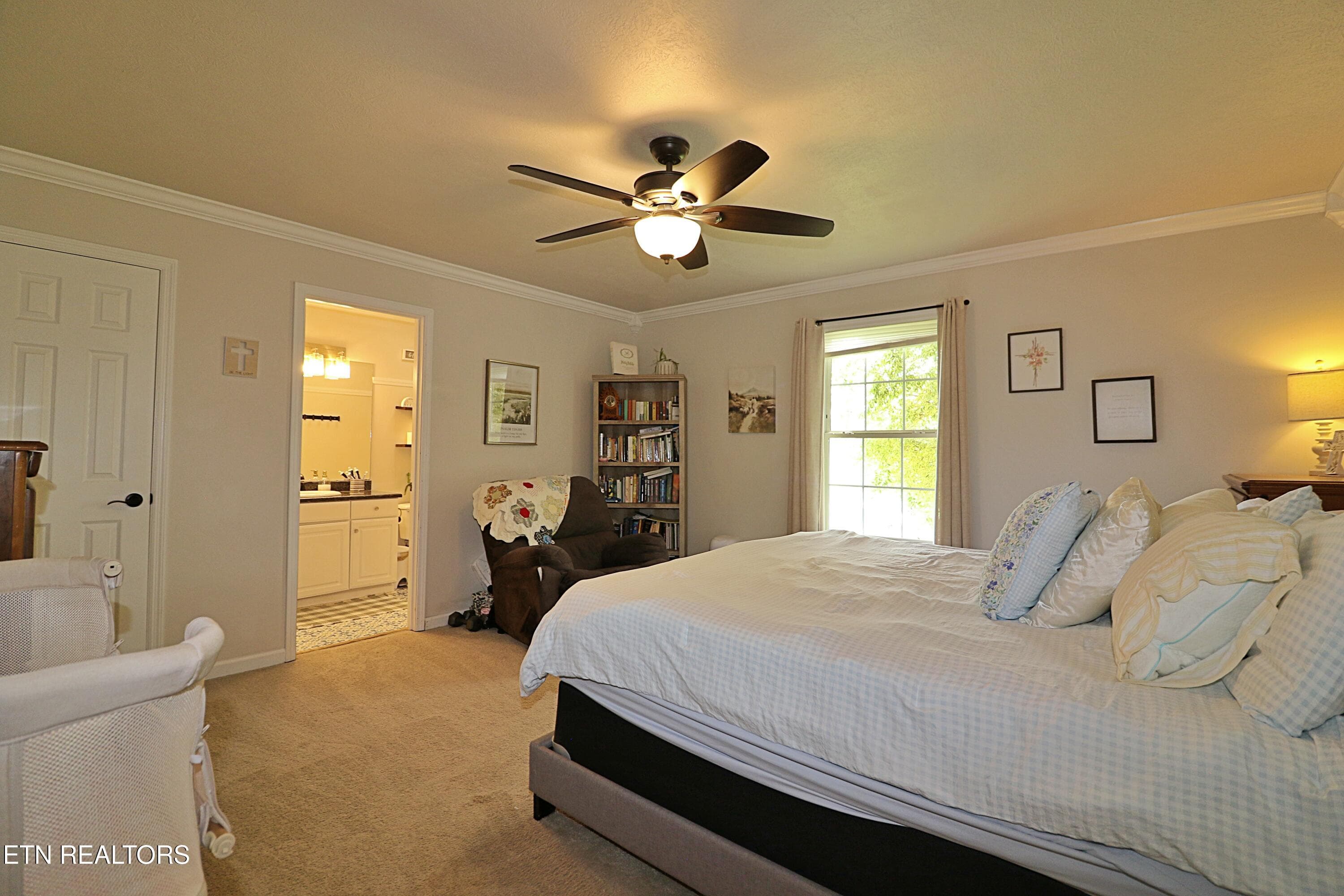 094A3979 - 192 Pecan Circle, Corryton, TN 37721, Corryton