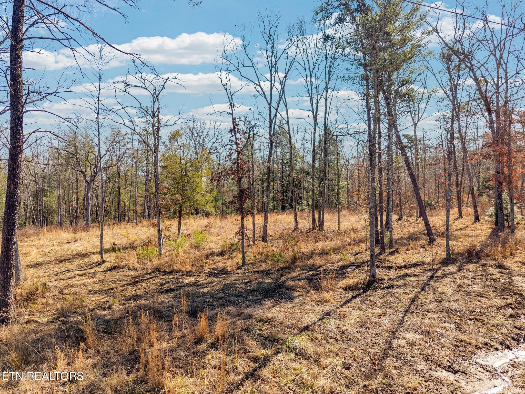 911 Spearhead-2 - 911 Spearhead Circle, Clarkrange, TN 38553