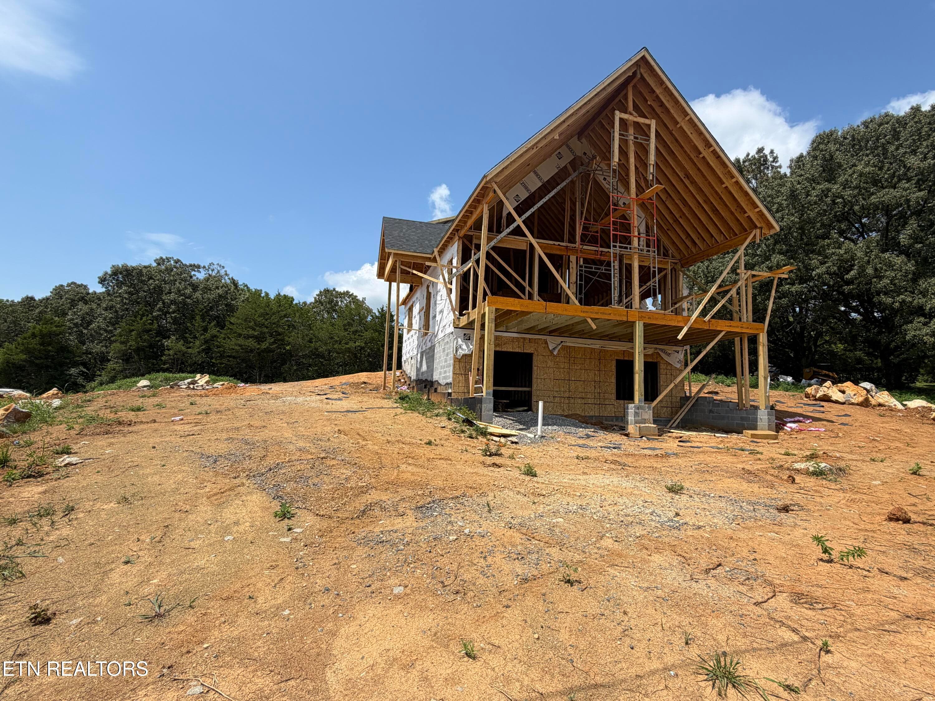 IMG_0987 - 861 Dalton Rd, New Market, TN 37820, New Market