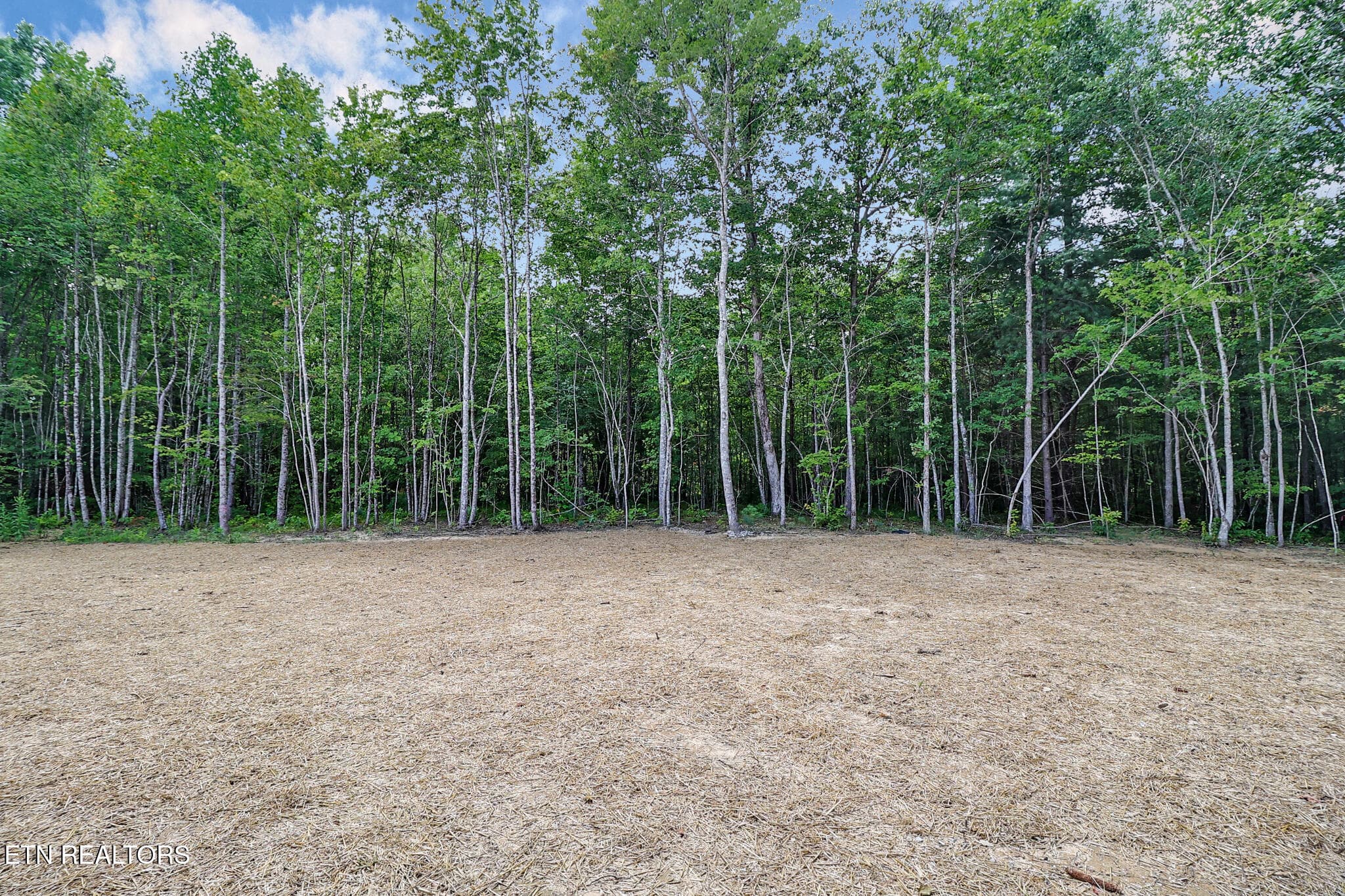 n44a4652-n44a4656 - 843 Dulog Tr, Jamestown, TN 38556