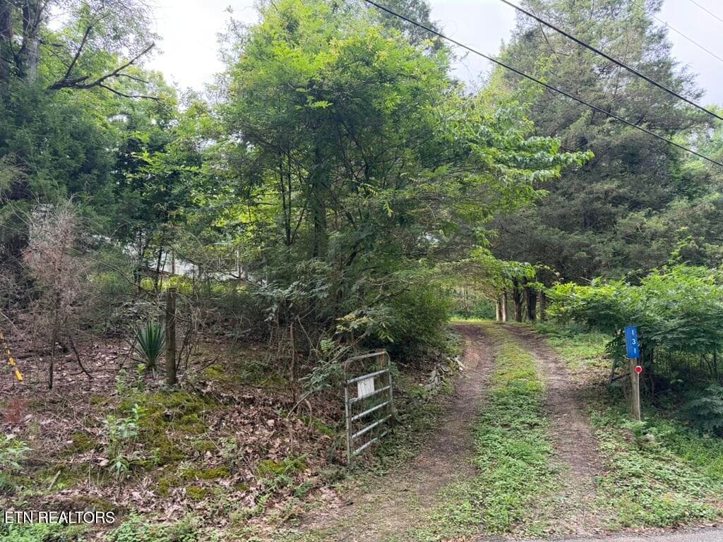 0896B5EC-3611-41DC-BA7A-CDA56F021408_1_1 - 131 Williams Circle, Rockwood, TN 37854, Rockwood