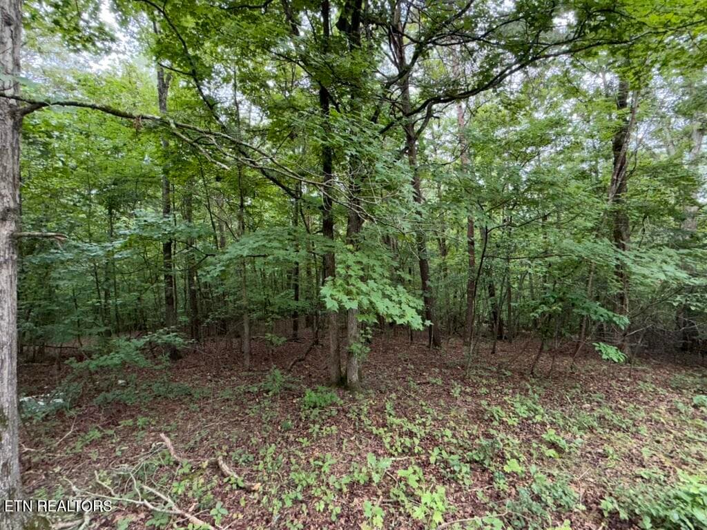 4CC1024E-655B-45B8-B101-78F3186DF616_1_1 - 131 Williams Circle, Rockwood, TN 37854, Rockwood