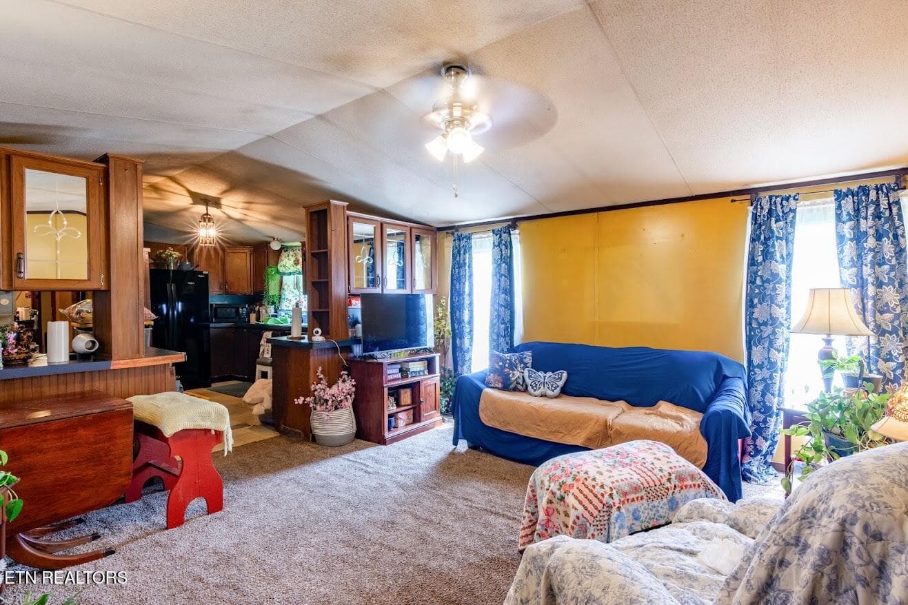 136 holly 10 - 136 Holly Rd, Spring City, TN 37381