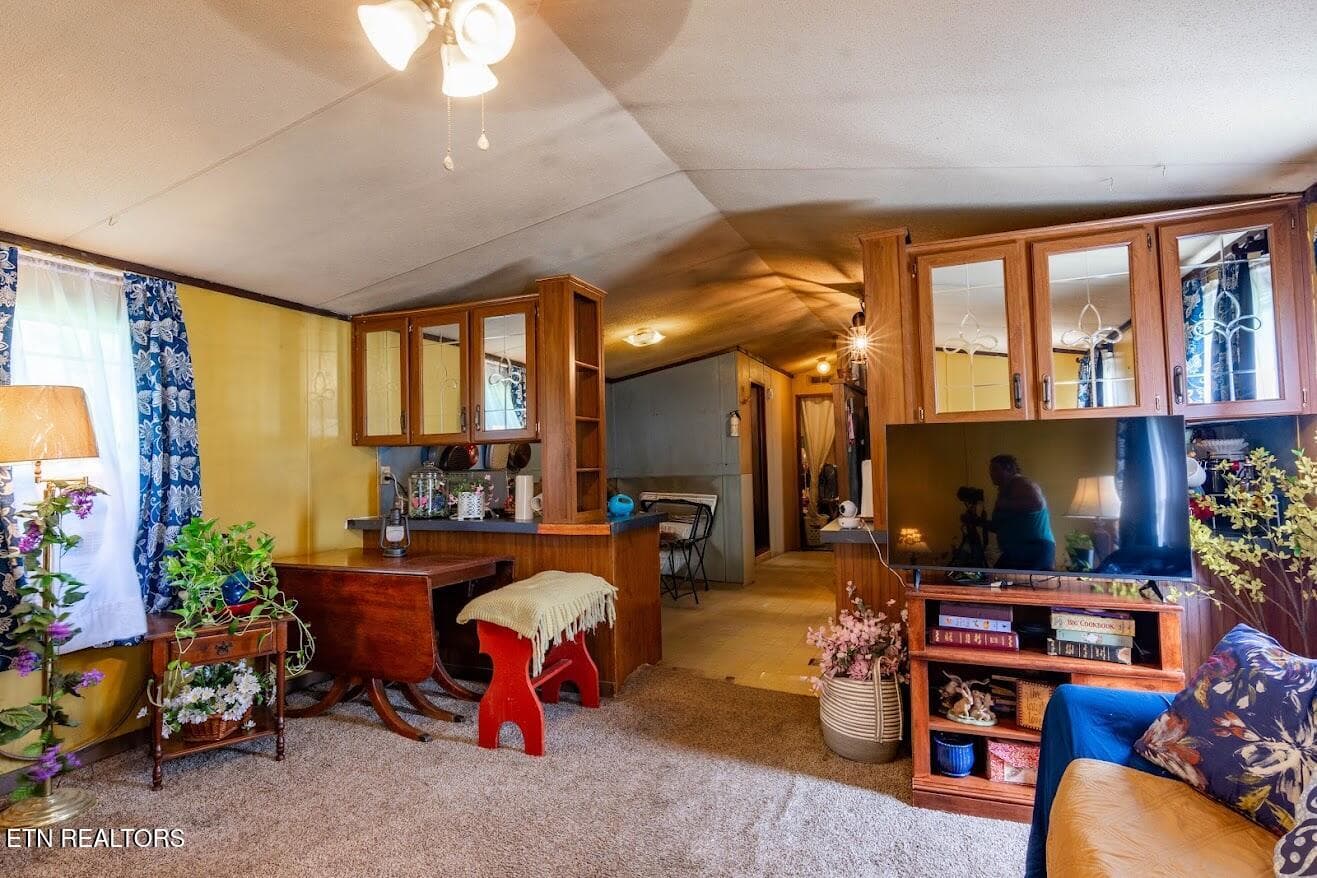 136 holly 14 - 136 Holly Rd, Spring City, TN 37381