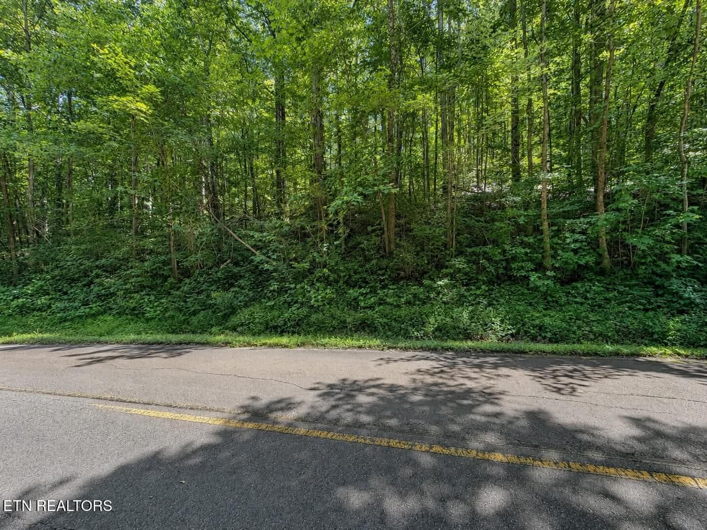 c02a350f-eb44-443f-bb2c-7bf386d330d7 - Johnson Valley Rd, Philadelphia, TN 37846