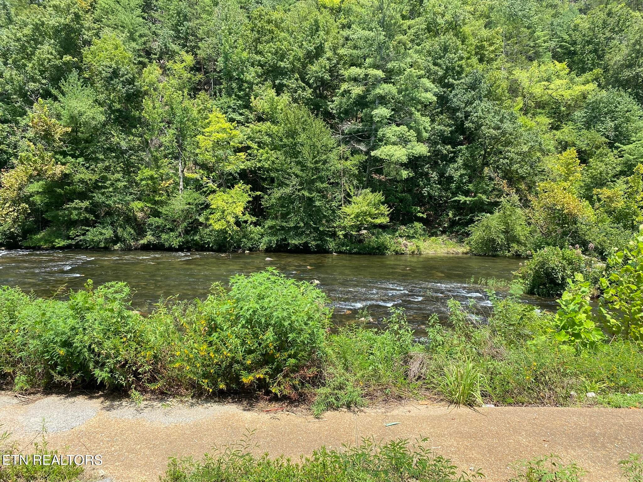 River View - 1663 Cherohala Skyway, Tellico Plains, TN 37385