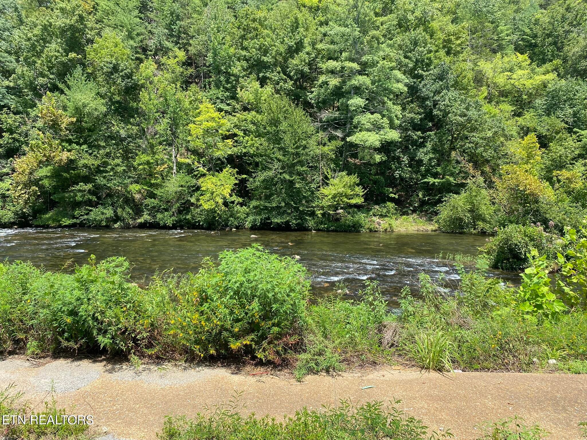 River View - 1663 Cherohala Skyway, Tellico Plains, TN 37385