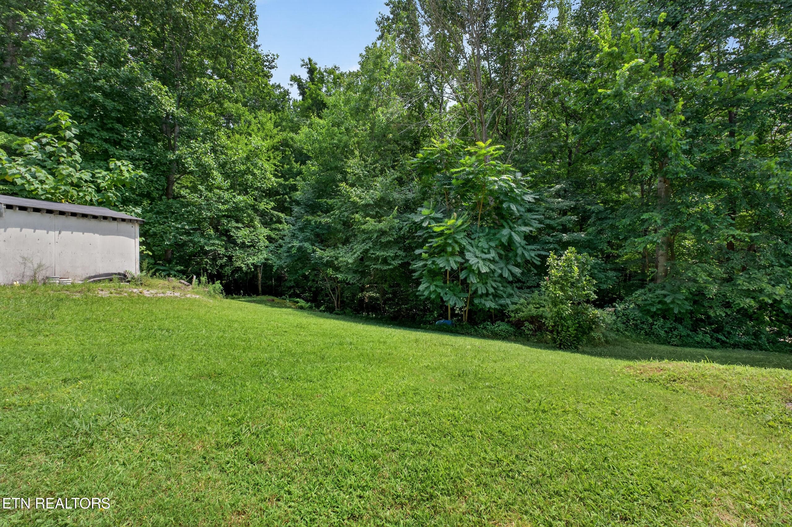 DSC07738 - 582 Spencer Drive, Spencer, TN 38585