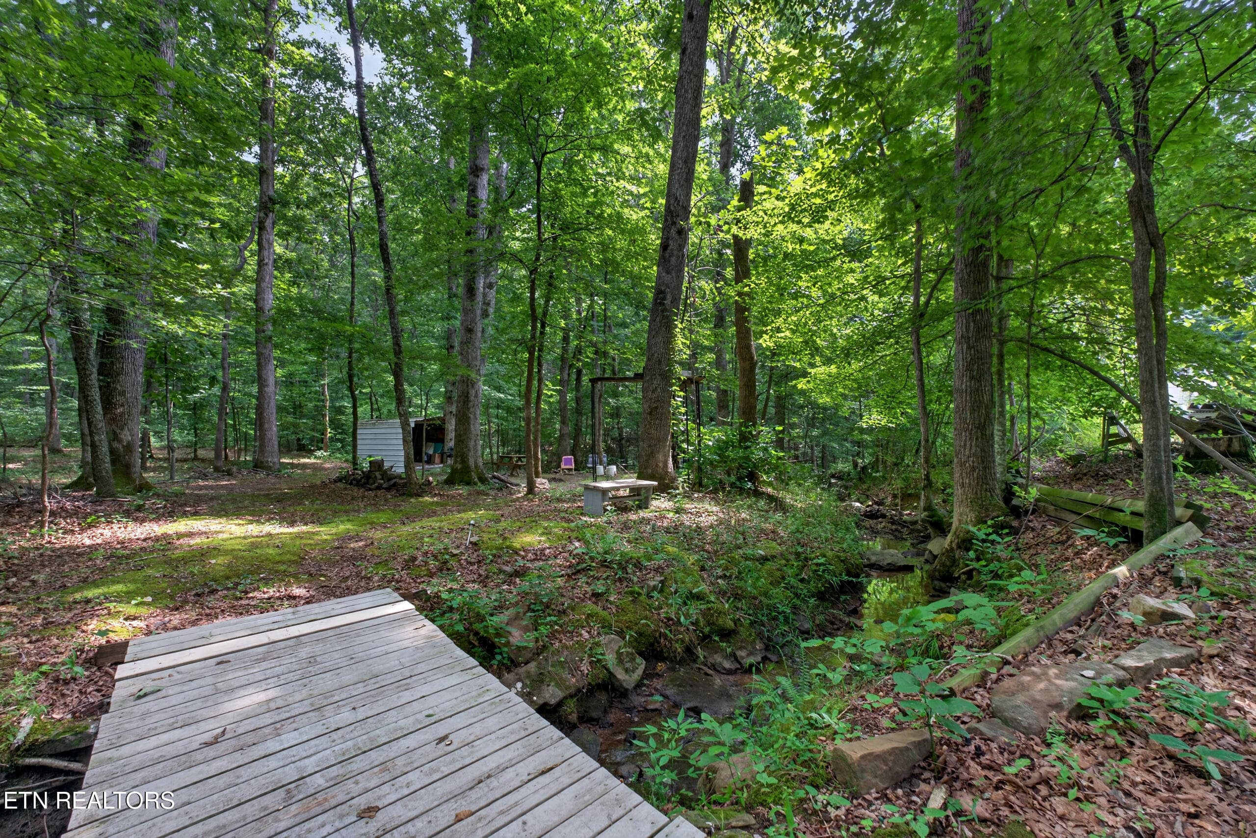 DSC07750 - 582 Spencer Drive, Spencer, TN 38585