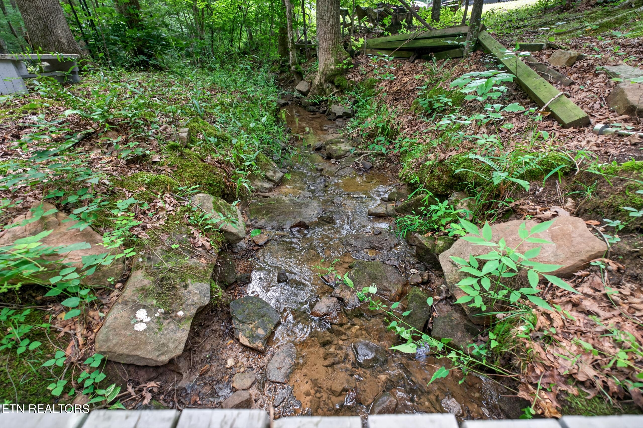 DSC07756 - 582 Spencer Drive, Spencer, TN 38585