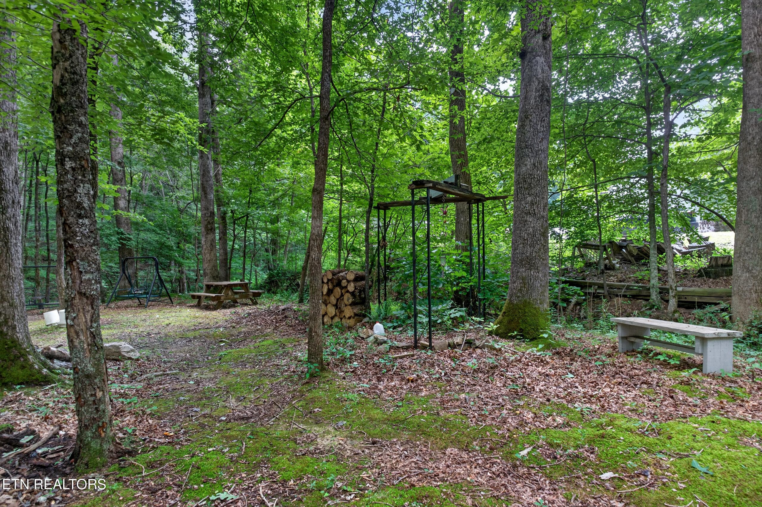 DSC07759 - 582 Spencer Drive, Spencer, TN 38585