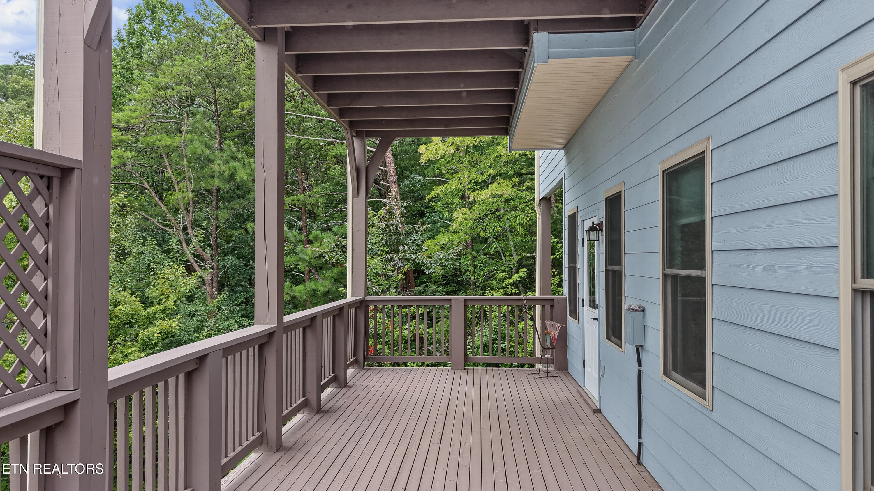 DJI_20260814142946_0095_D-2 - 715 Christy Lane, Townsend, TN 37882