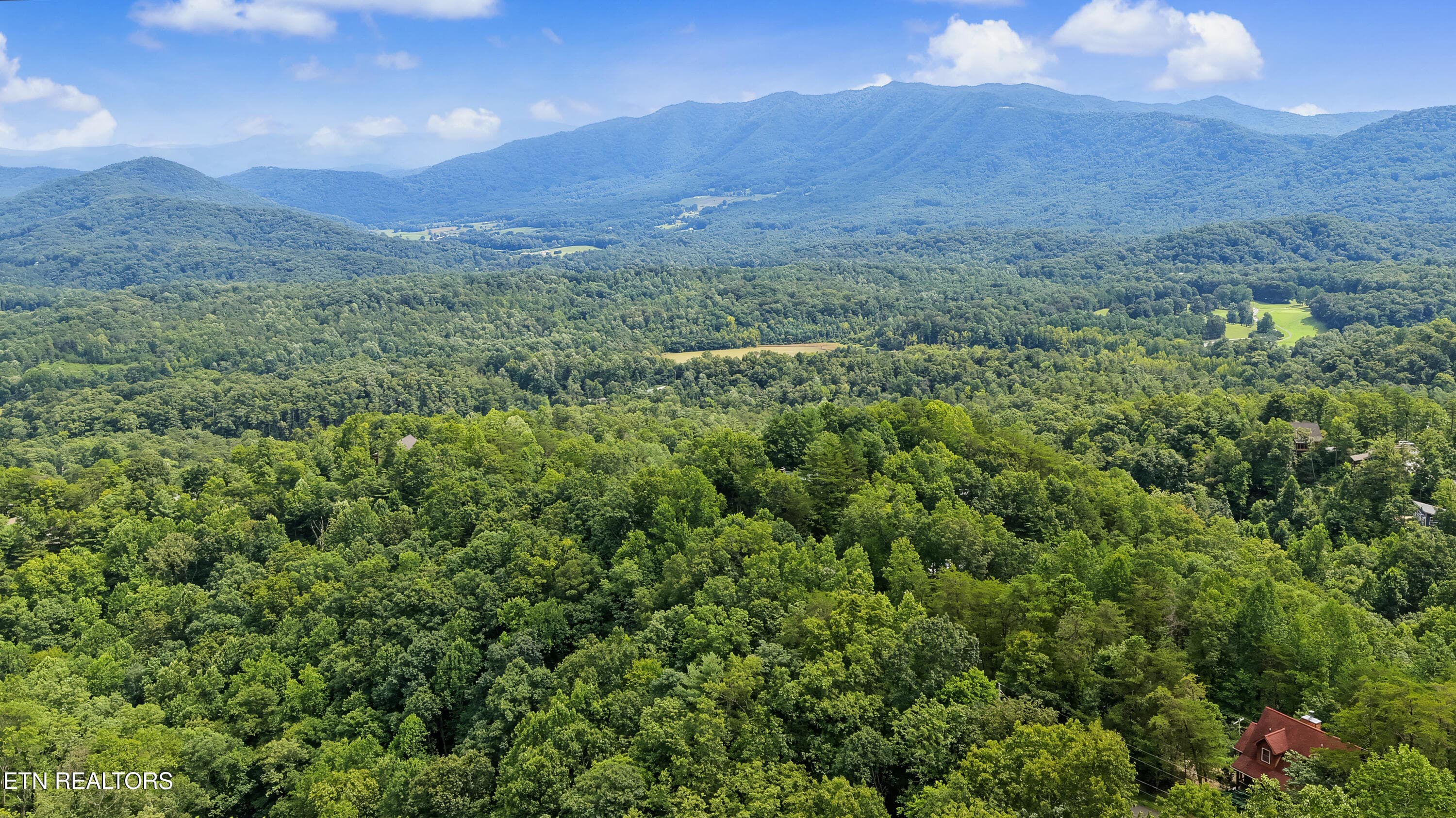 DJI_20260814151610_0126_D-2 - 715 Christy Lane, Townsend, TN 37882