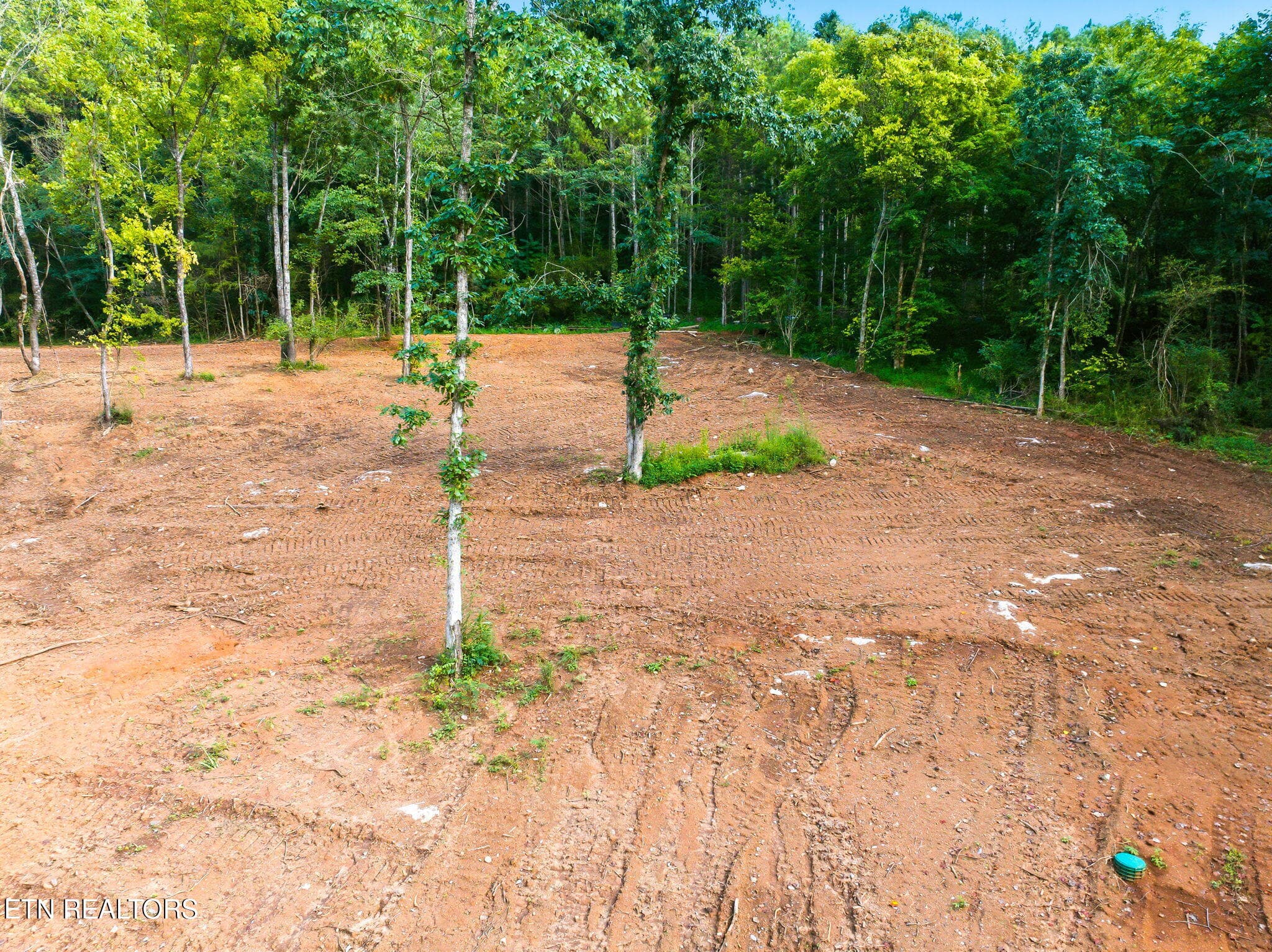 14-web-or-mls-330-Co-Rd-267-Niota-TN-14 - County Road 267, Niota, TN 37826