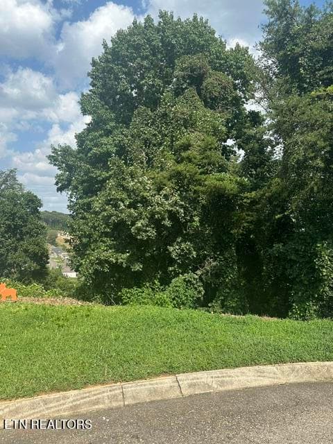 image0 (11) - 480 Laurel Ridge Lane, Knoxville, TN 37922