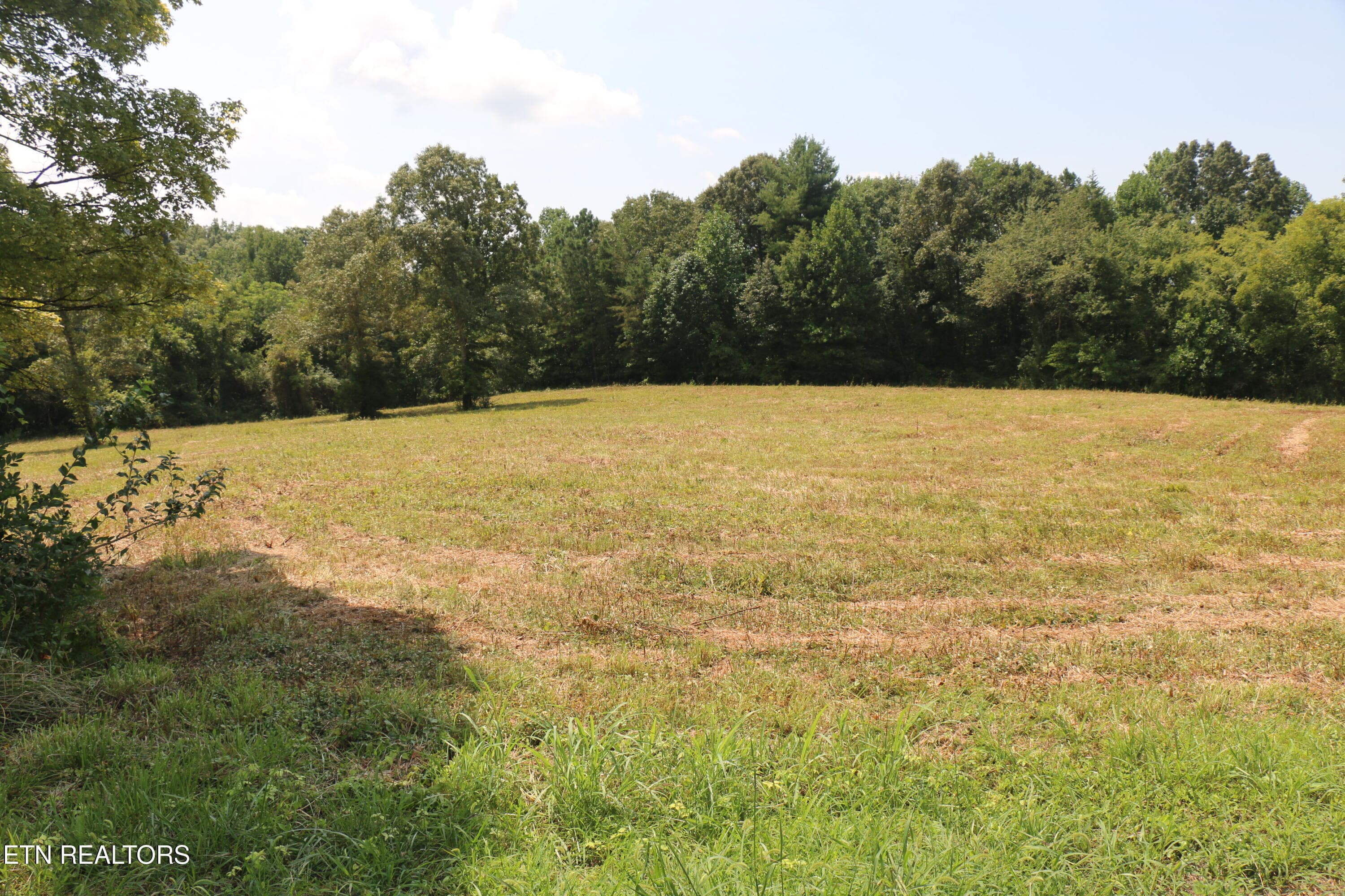 7.6 Acres Chestuee Ave, Englewood, TN 37329