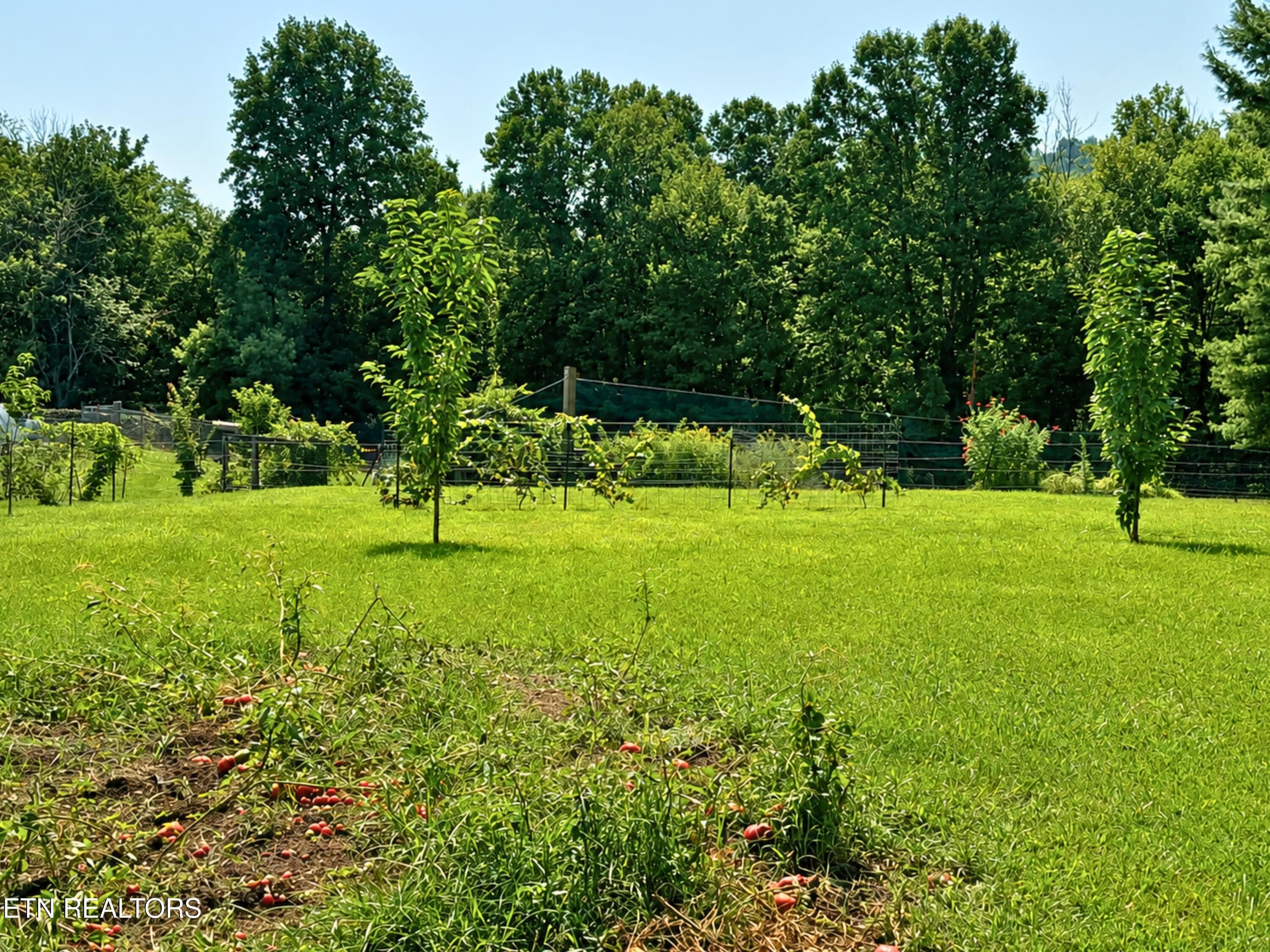 12 - 10106 Spring Creek Rd, Cookeville, TN 38506, Cookeville