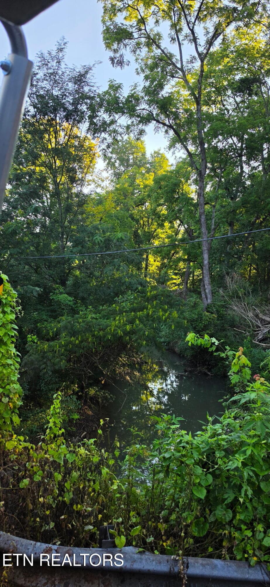 20260819_082015 - County Road 267, Niota, TN 37826